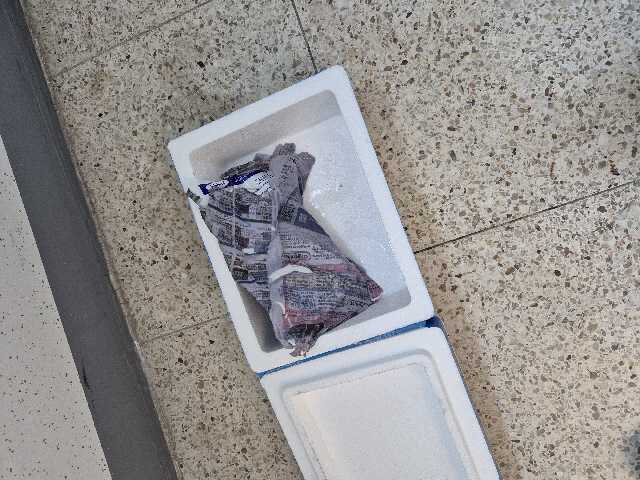 밥도둑 3총사, 양동시장 젓갈세트 (오징어,낙지,갈치쌈장)-1