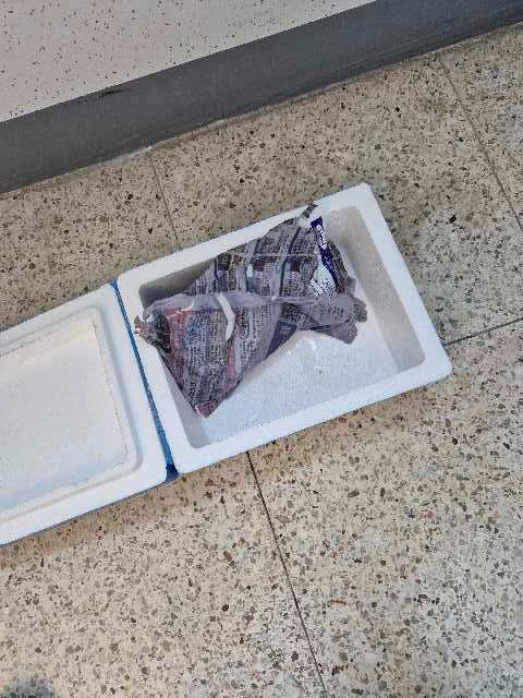 밥도둑 3총사, 양동시장 젓갈세트 (오징어,낙지,갈치쌈장)