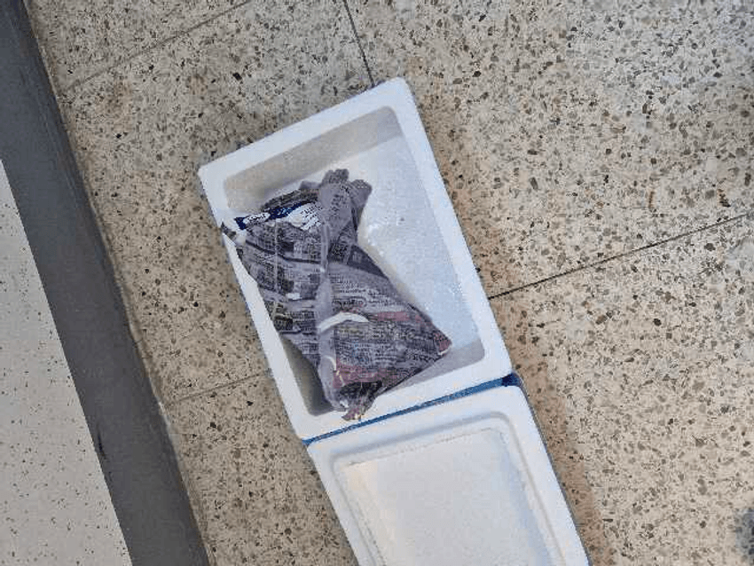 포토후기 이미지