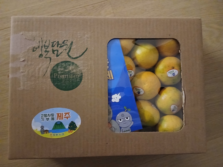 포토후기 이미지