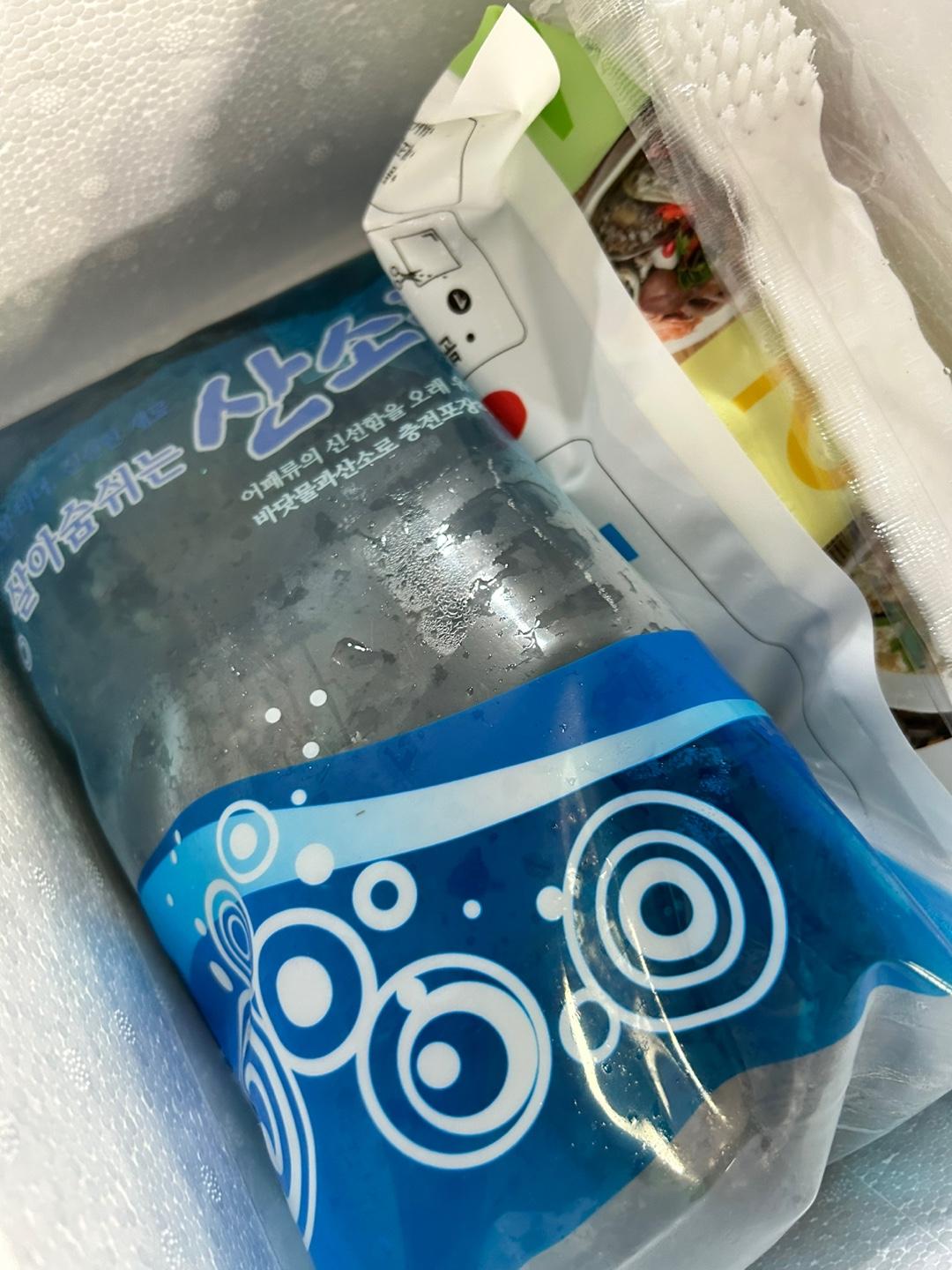 활전복 1kg (10~12미) + 1마리 추가