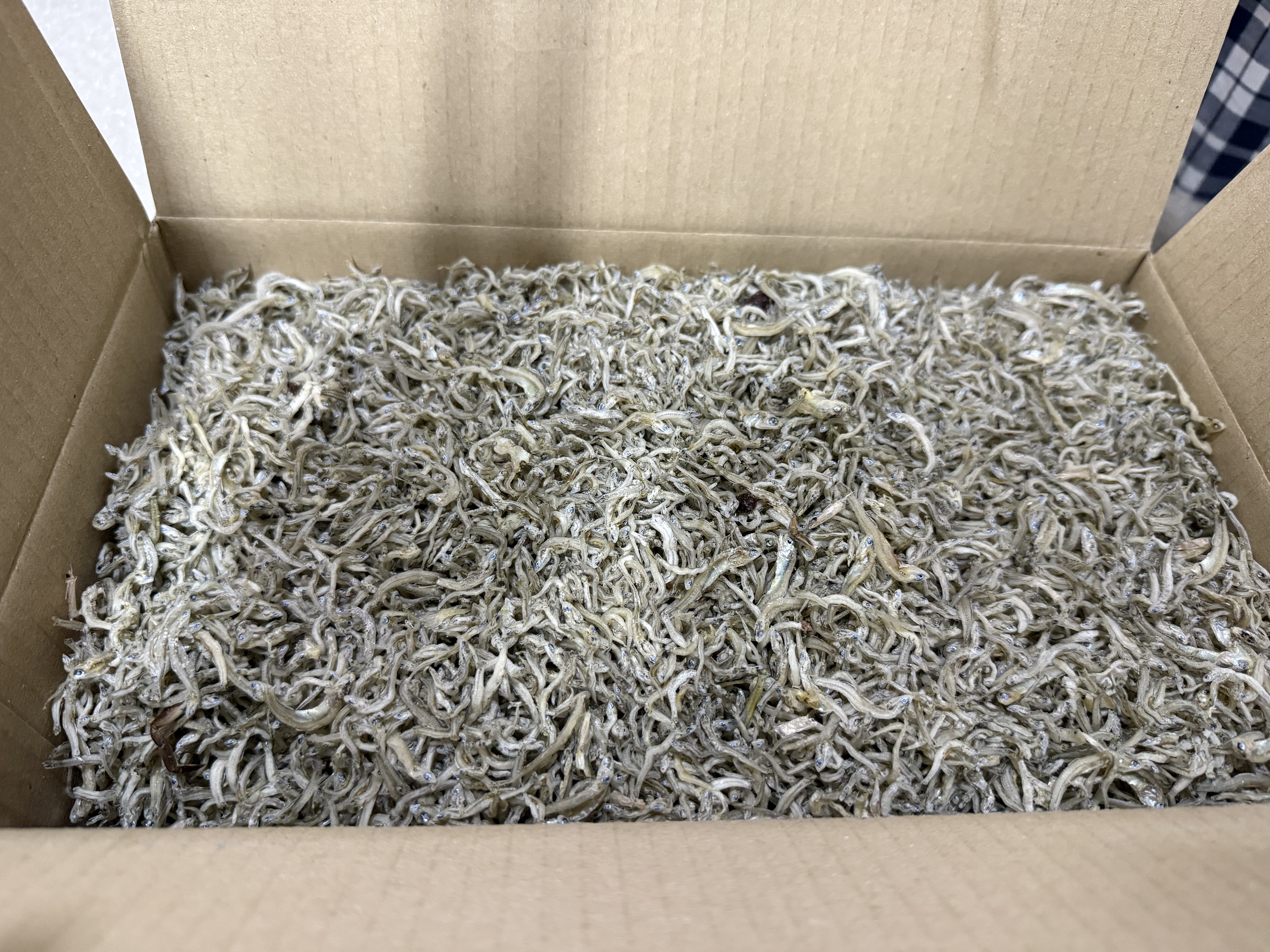 완도 잔멸치 (1kg)-2