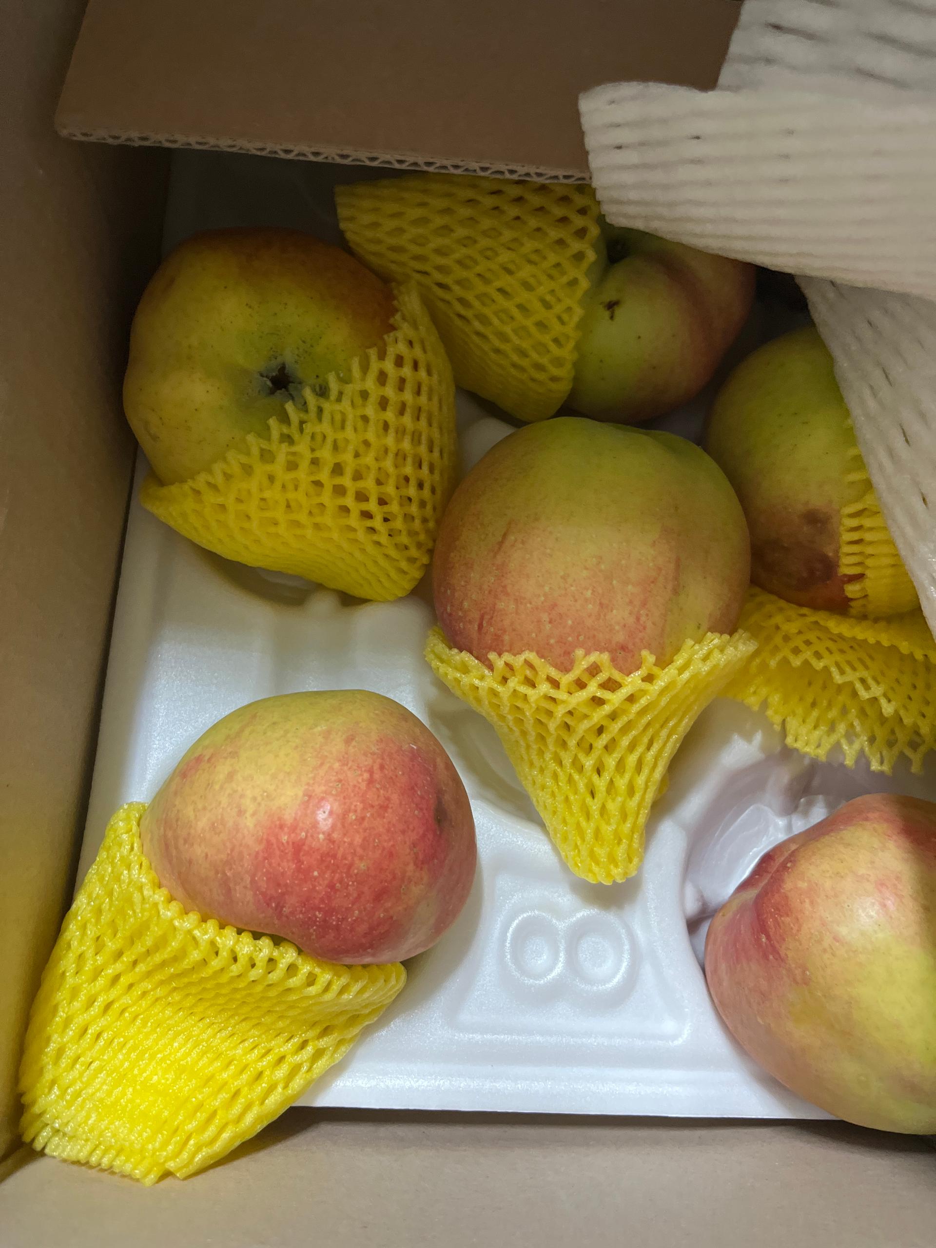 포토후기 이미지