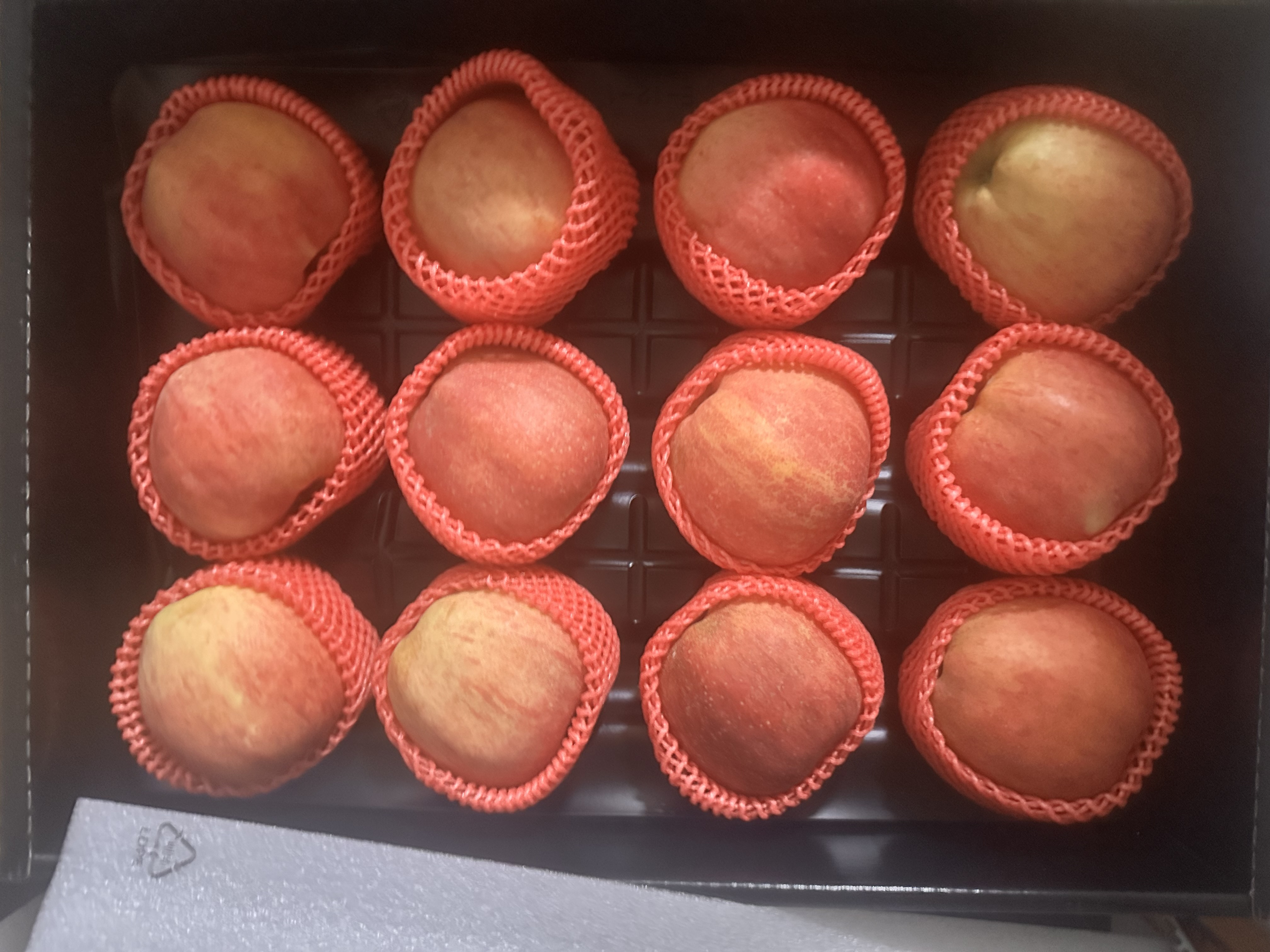 대경사과원예농협 영주 아오리 사과 3.5kg 선물세트 (12입내)-1