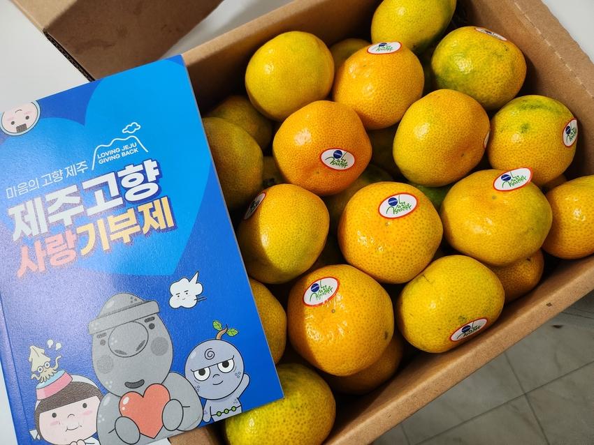 포토후기 이미지