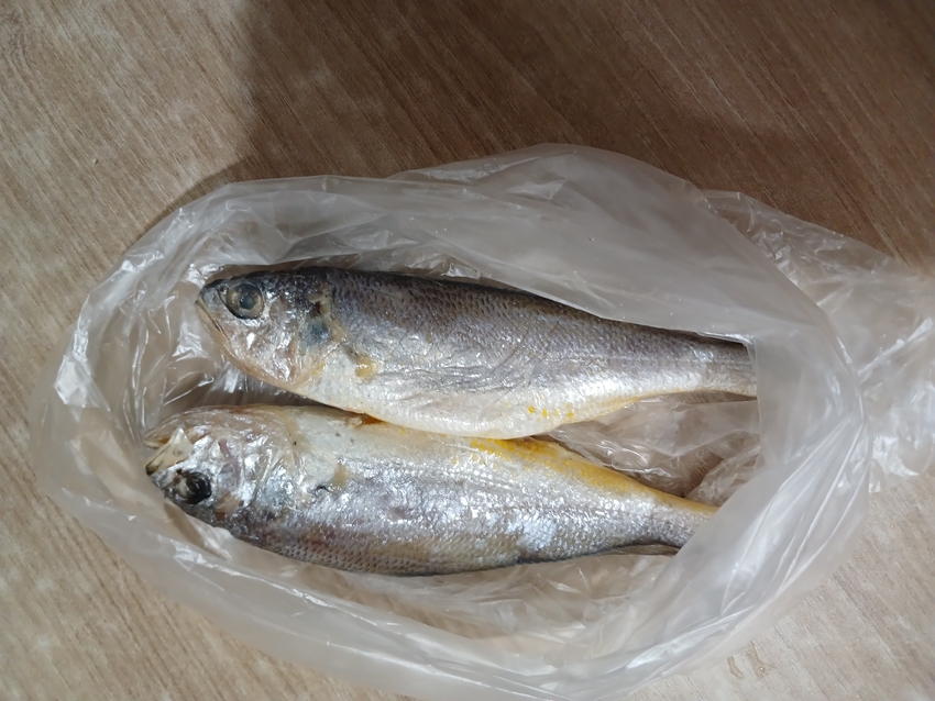 포토후기 이미지