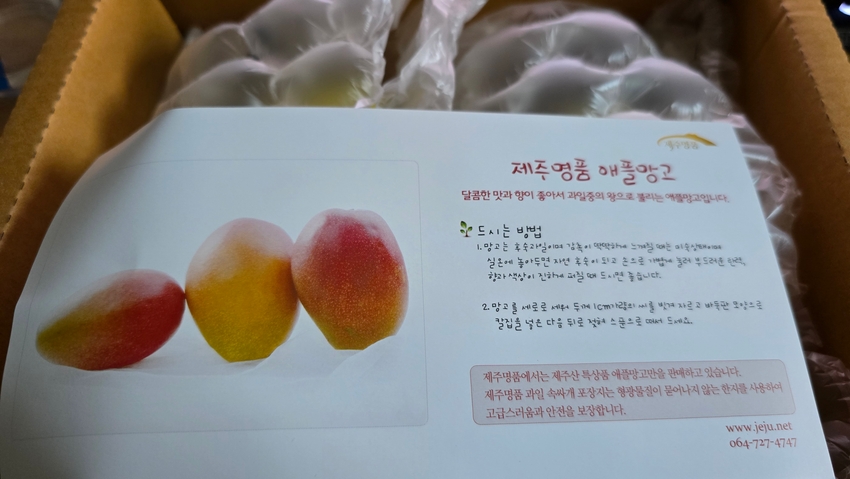 포토후기 이미지
