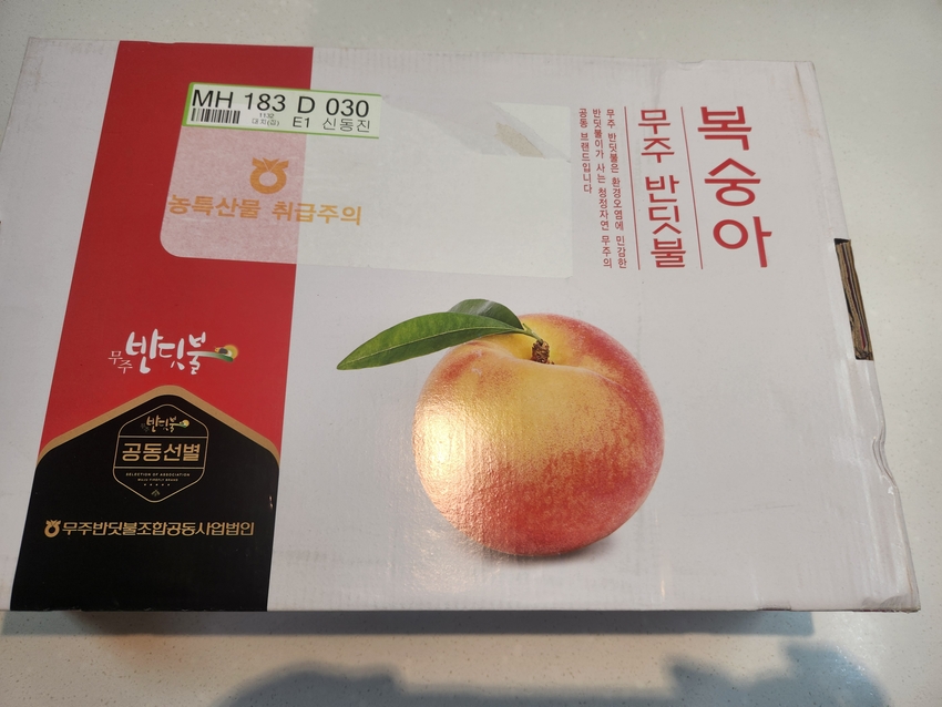 포토후기 이미지