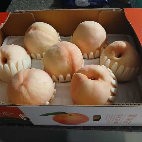 무주 반딧불 백도복숭아 3kg-1