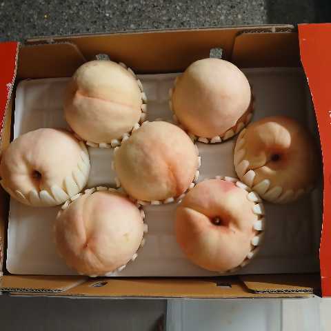 무주 반딧불 백도복숭아 3kg-2