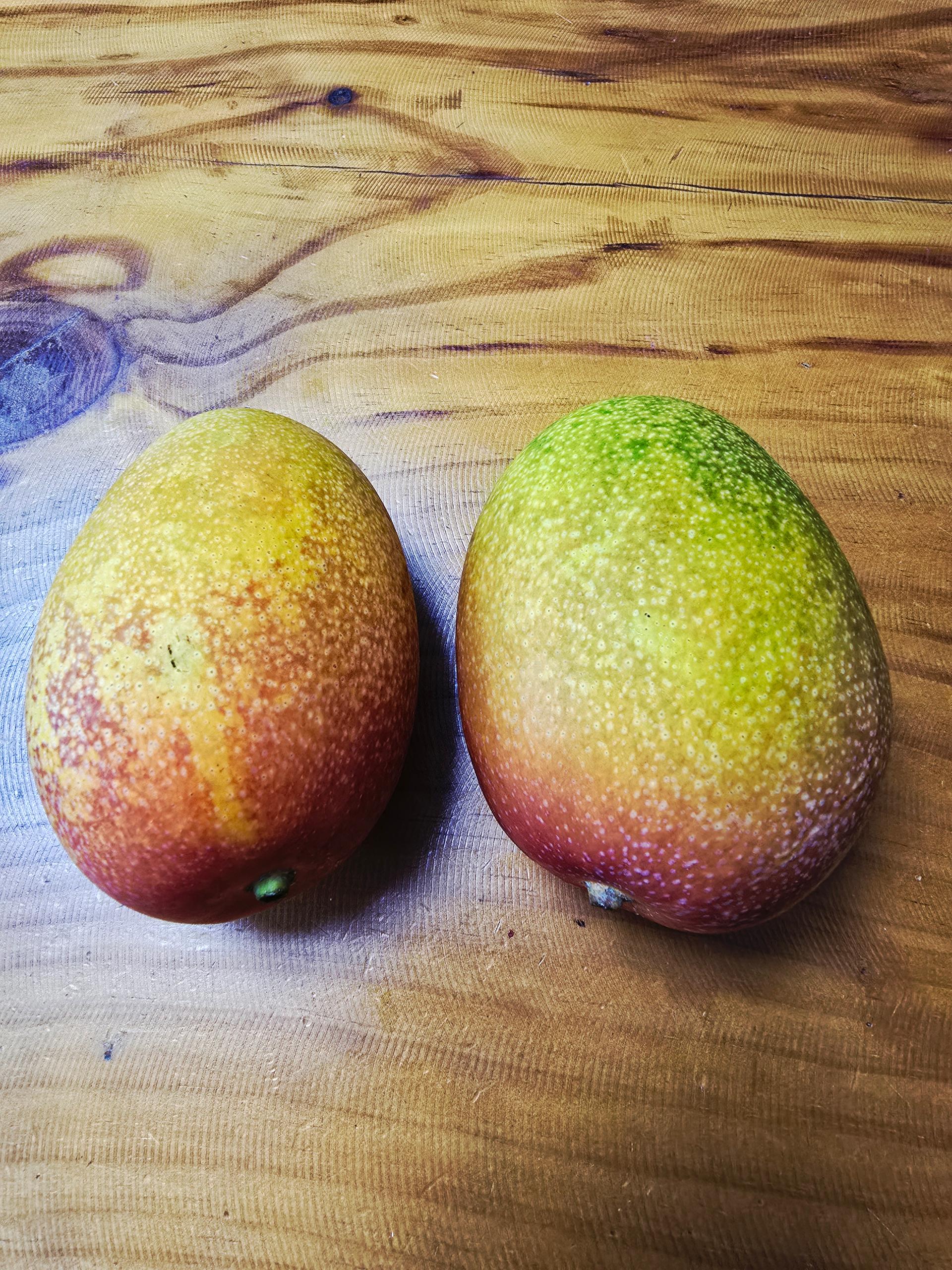 포토후기 이미지