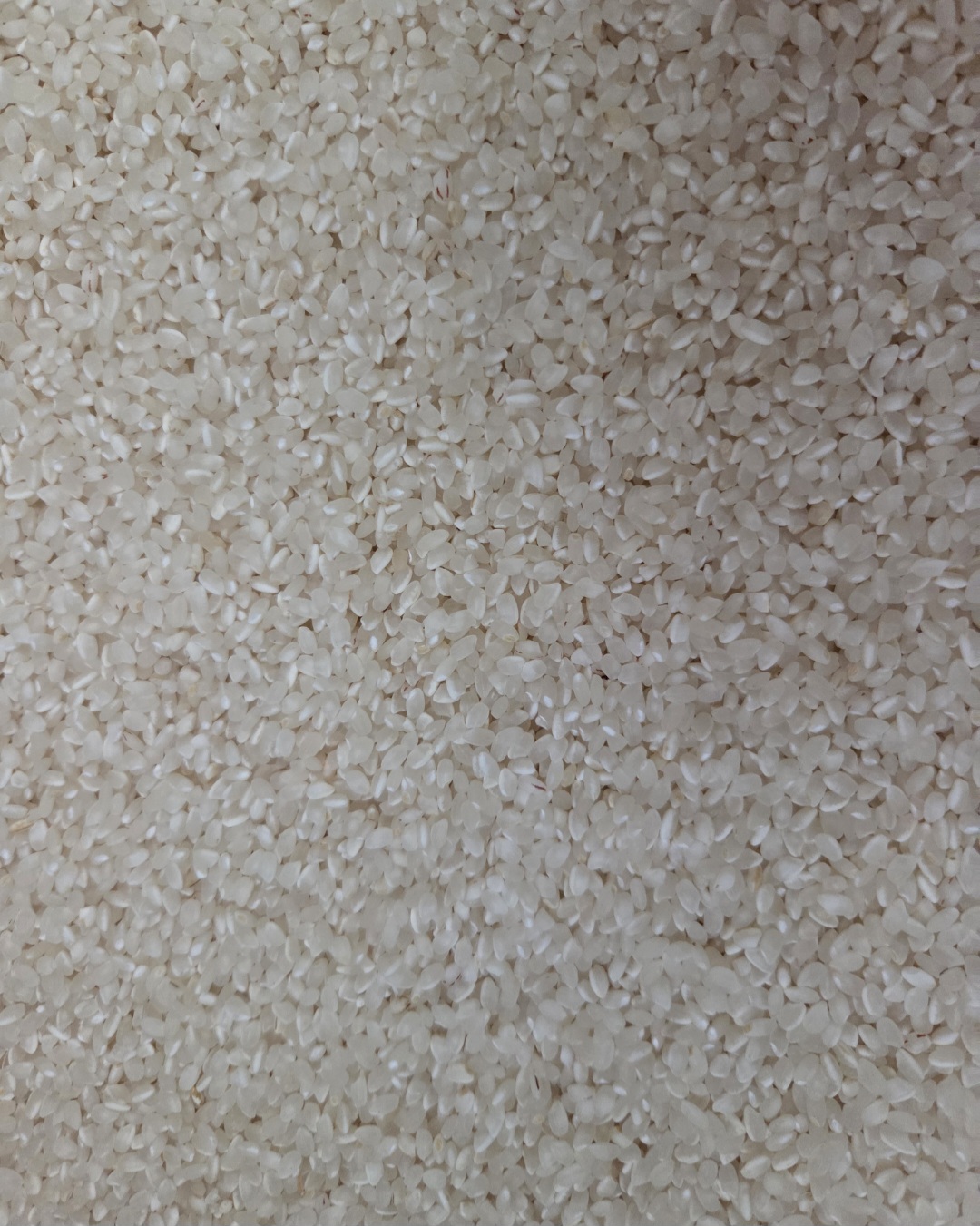 육군병장쌀 10kg + 부드러운 쌀눈현미 500g 증정-1