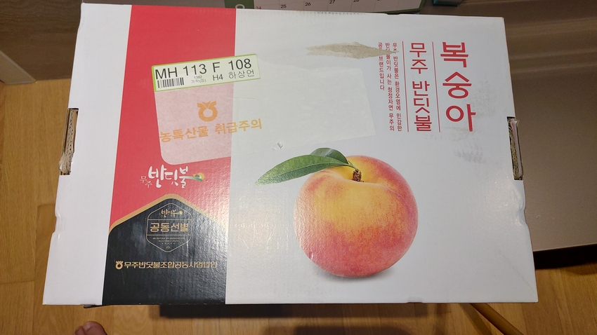 포토후기 이미지