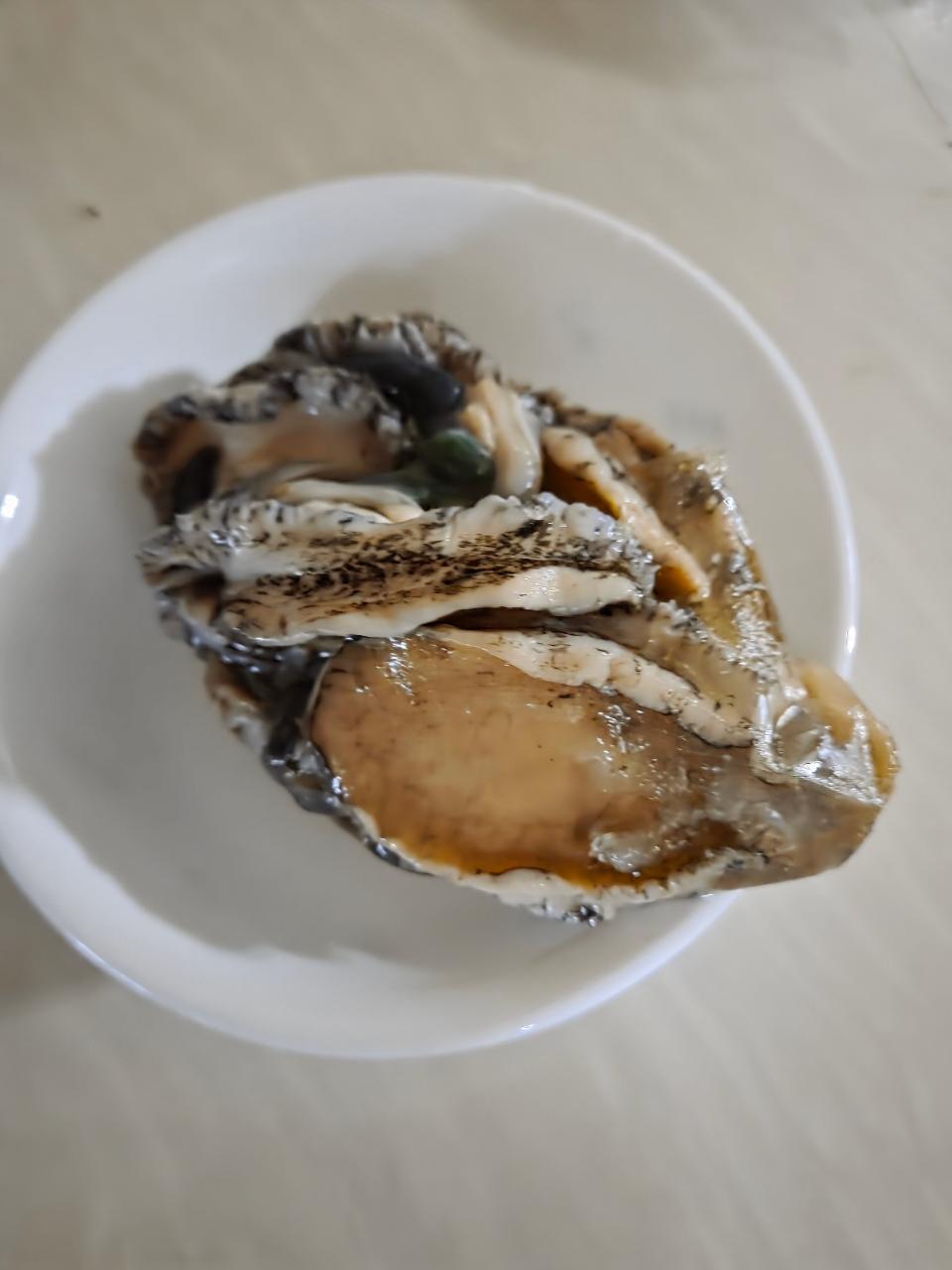 활전복 1kg (10~12미) + 1마리 추가