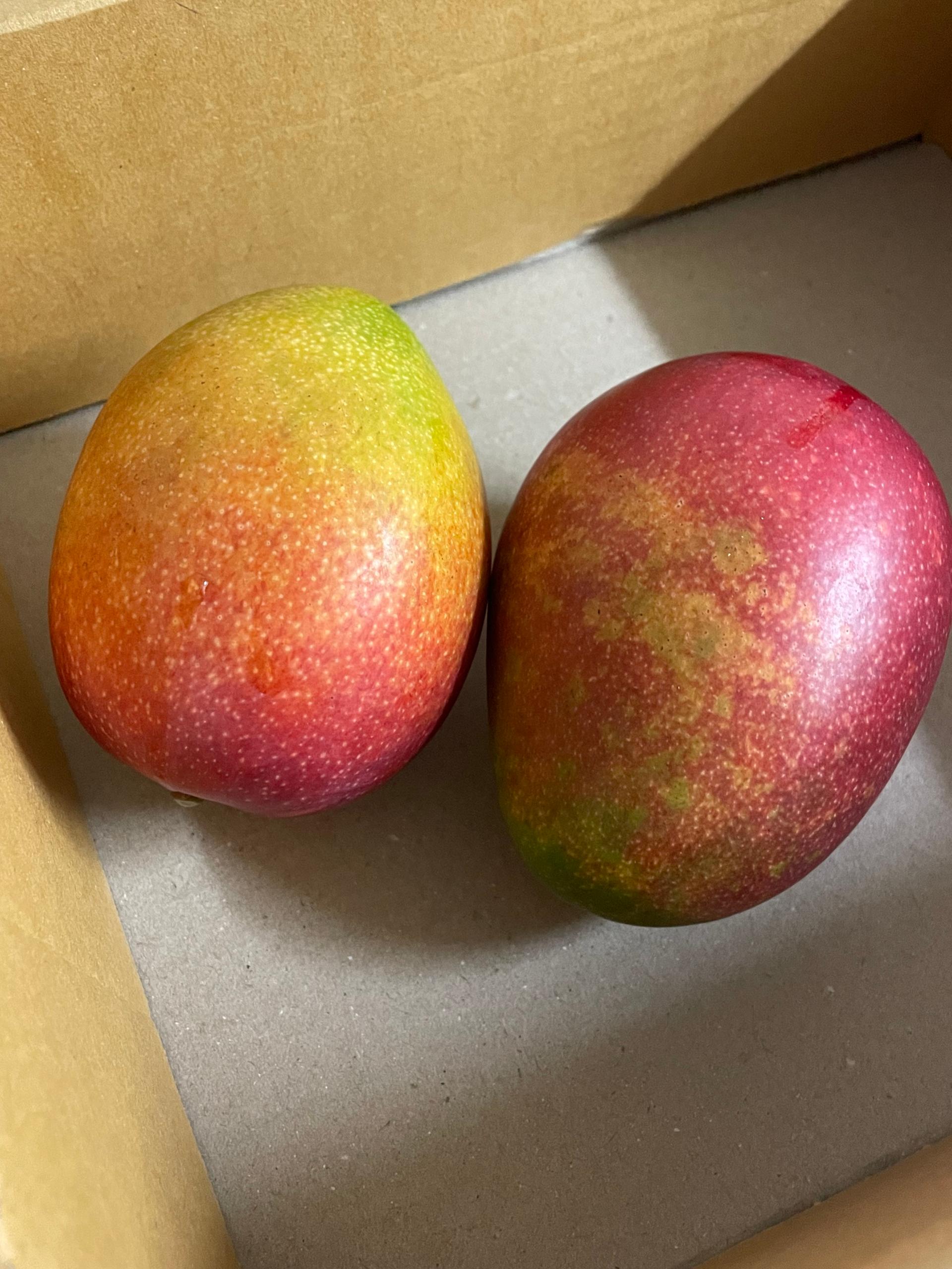 포토후기 이미지