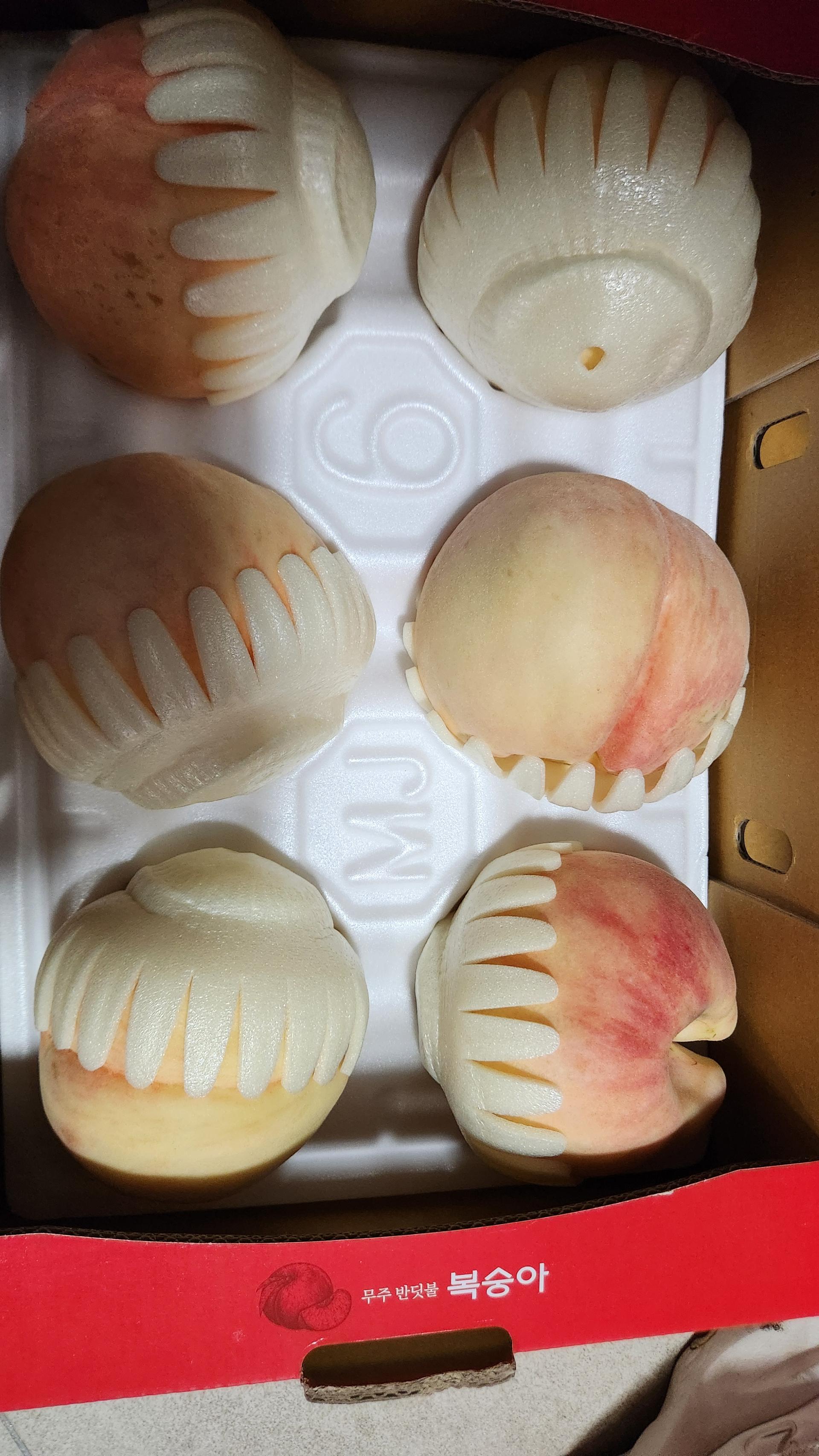 무주 반딧불 백도복숭아 3kg (8월 31일까지 선택 가능)