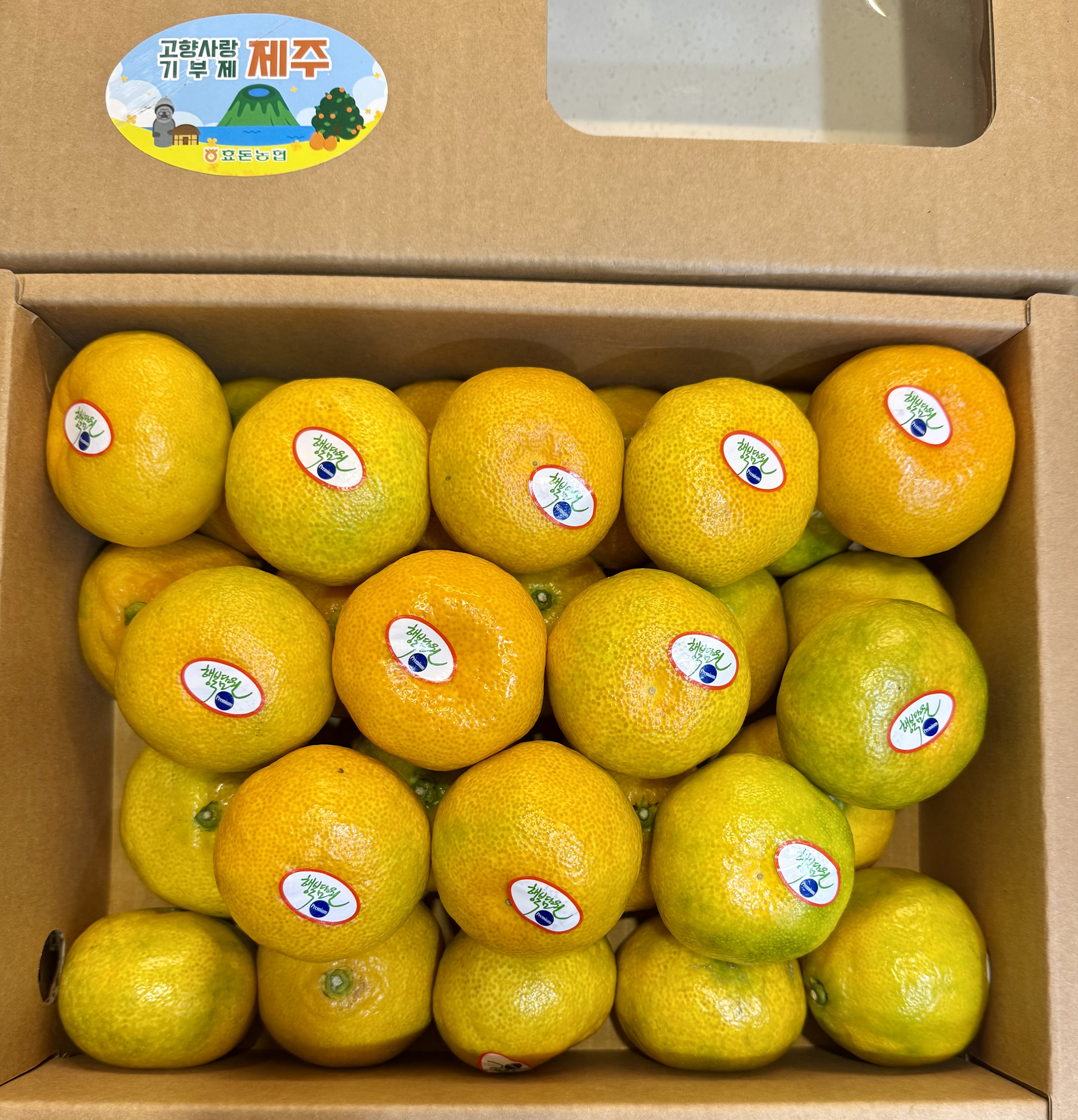 효돈 농협 프리미엄 감귤 (3kg/5kg)-1