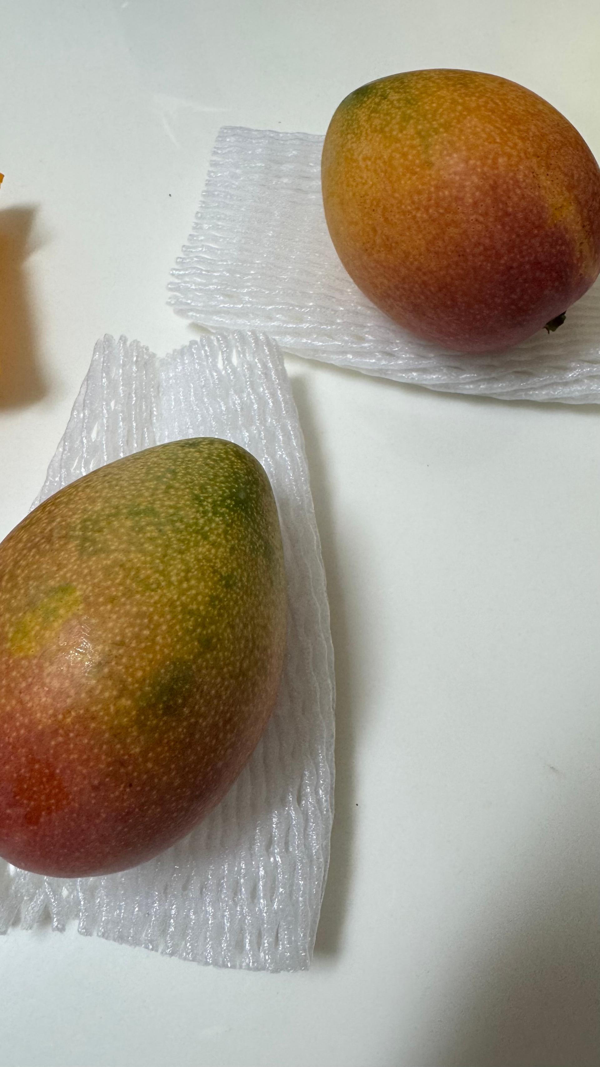 포토후기 이미지