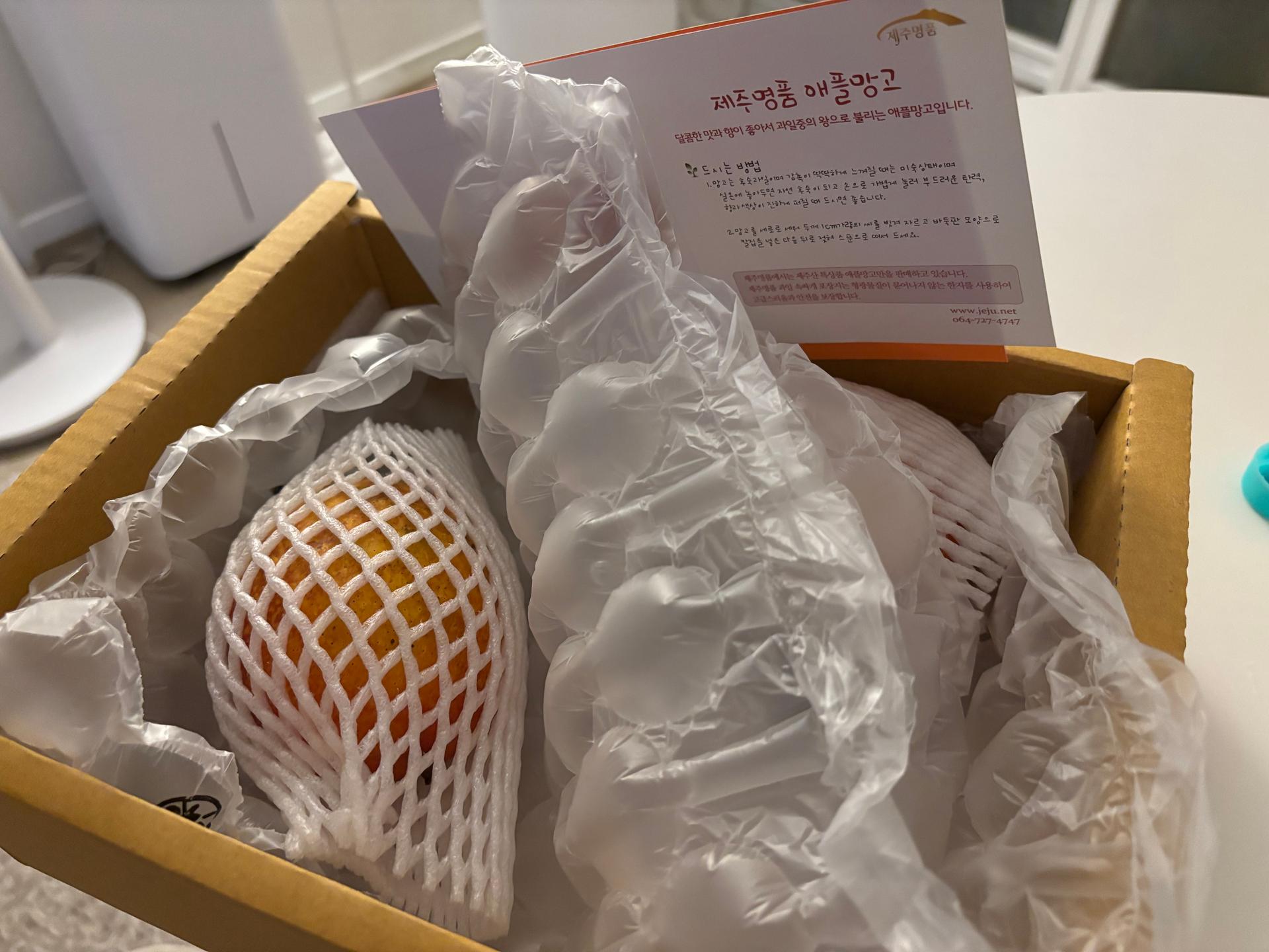 포토후기 이미지