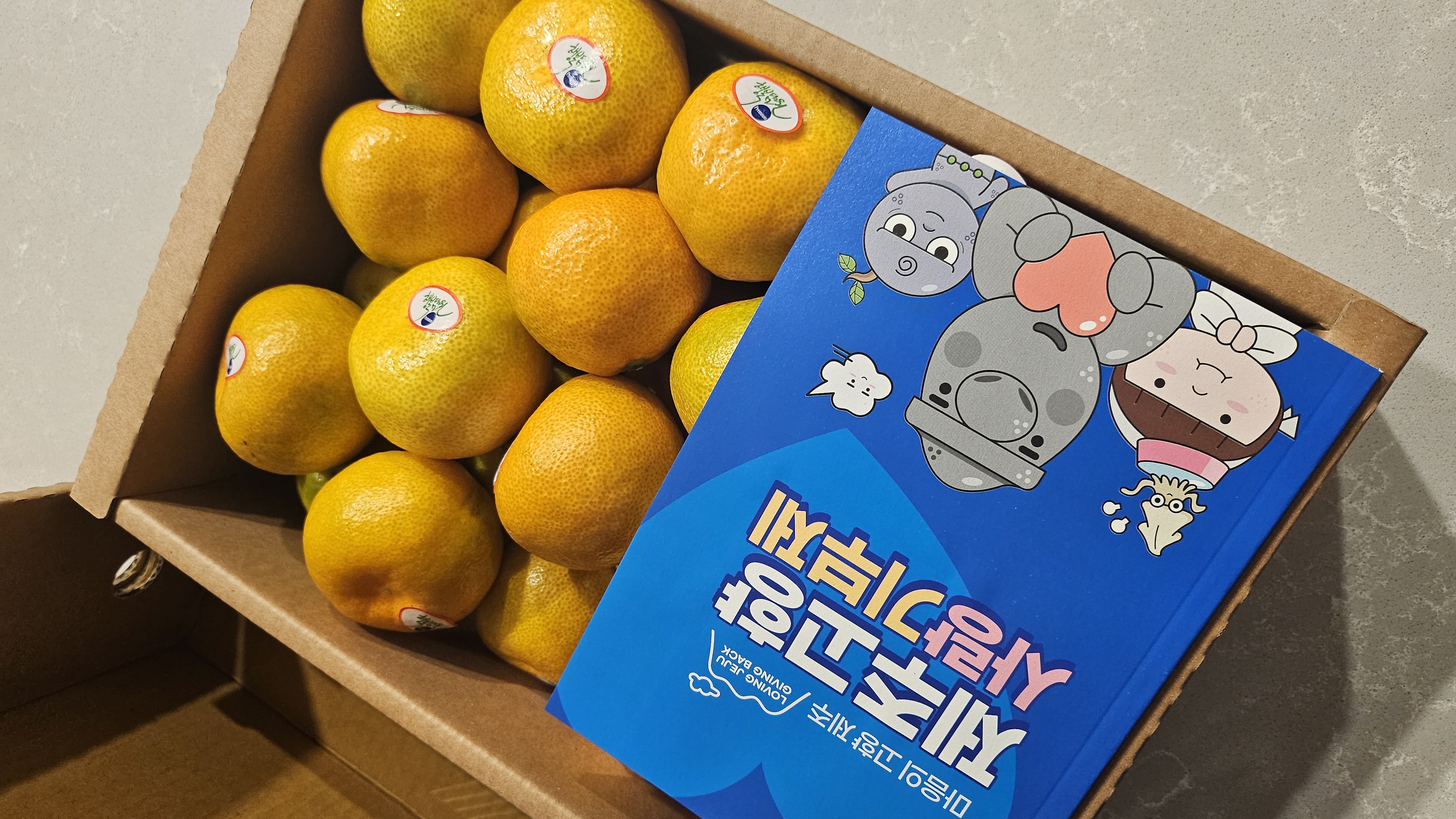 효돈 농협 프리미엄 감귤 (3kg/5kg)-1