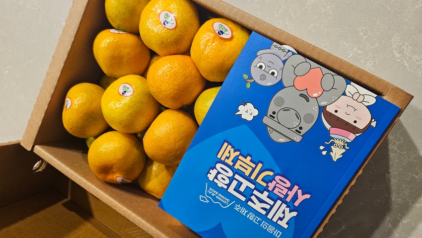 포토후기 이미지