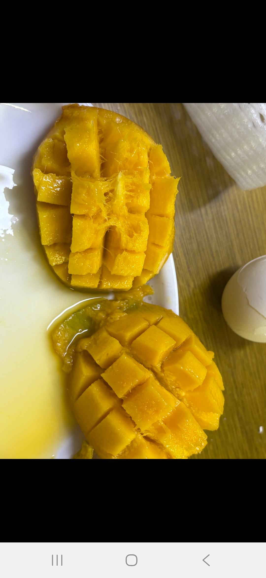 포토후기 이미지