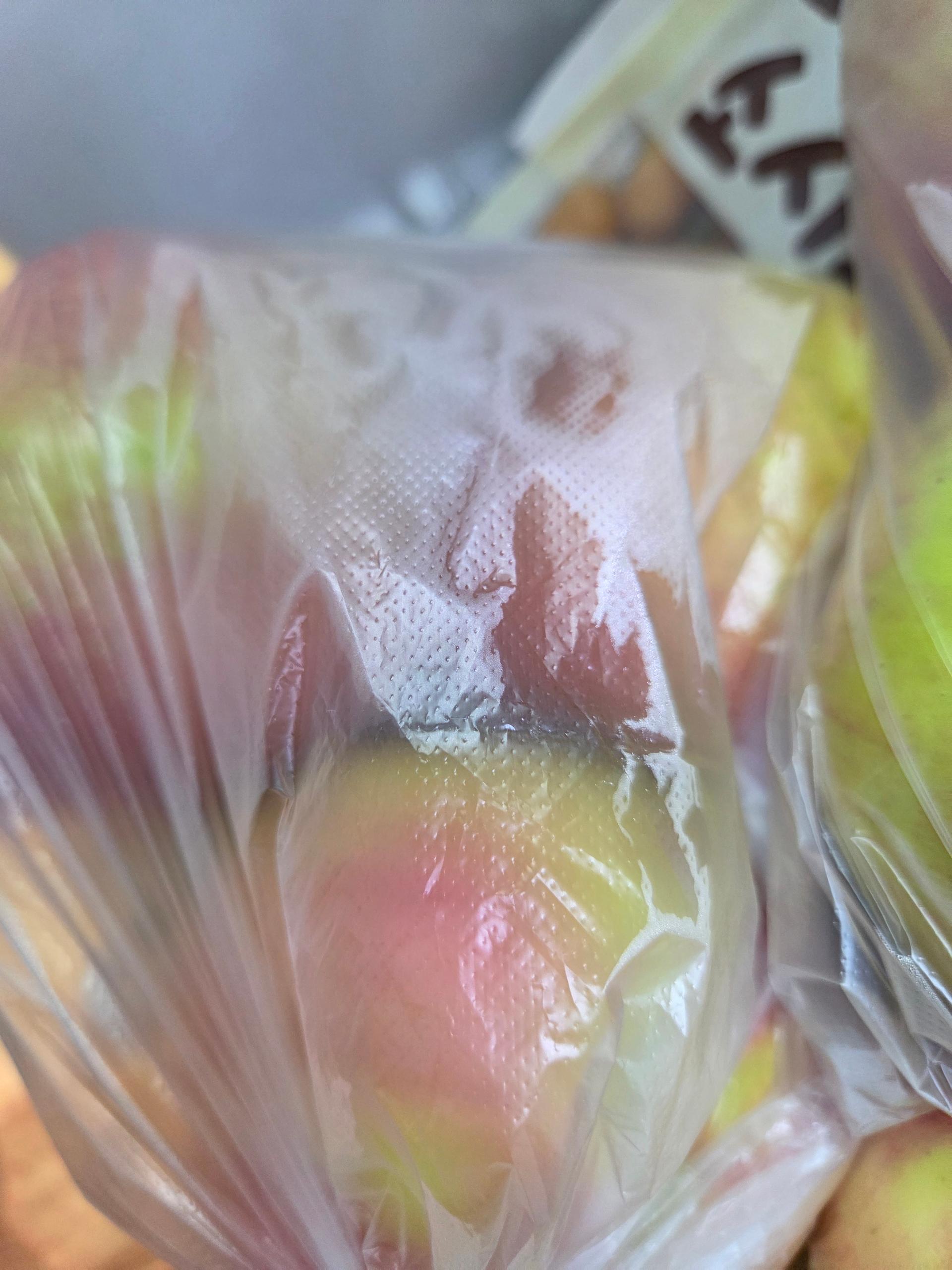 포토후기 이미지