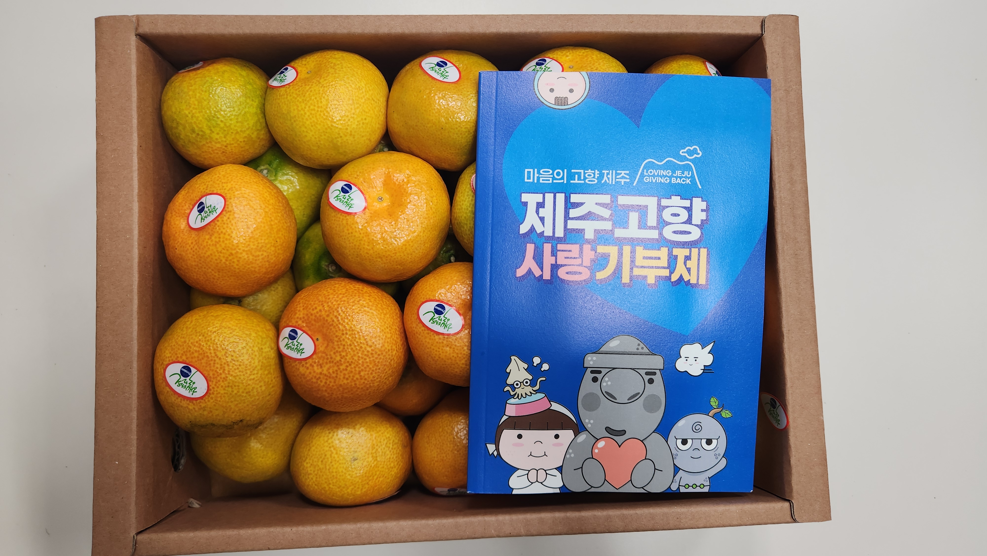 효돈 농협 프리미엄 감귤 (3kg/5kg)-1