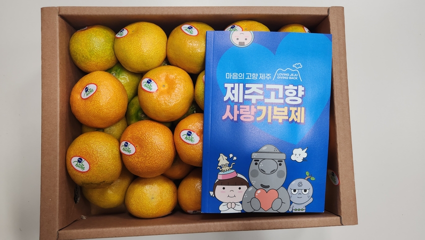 포토후기 이미지