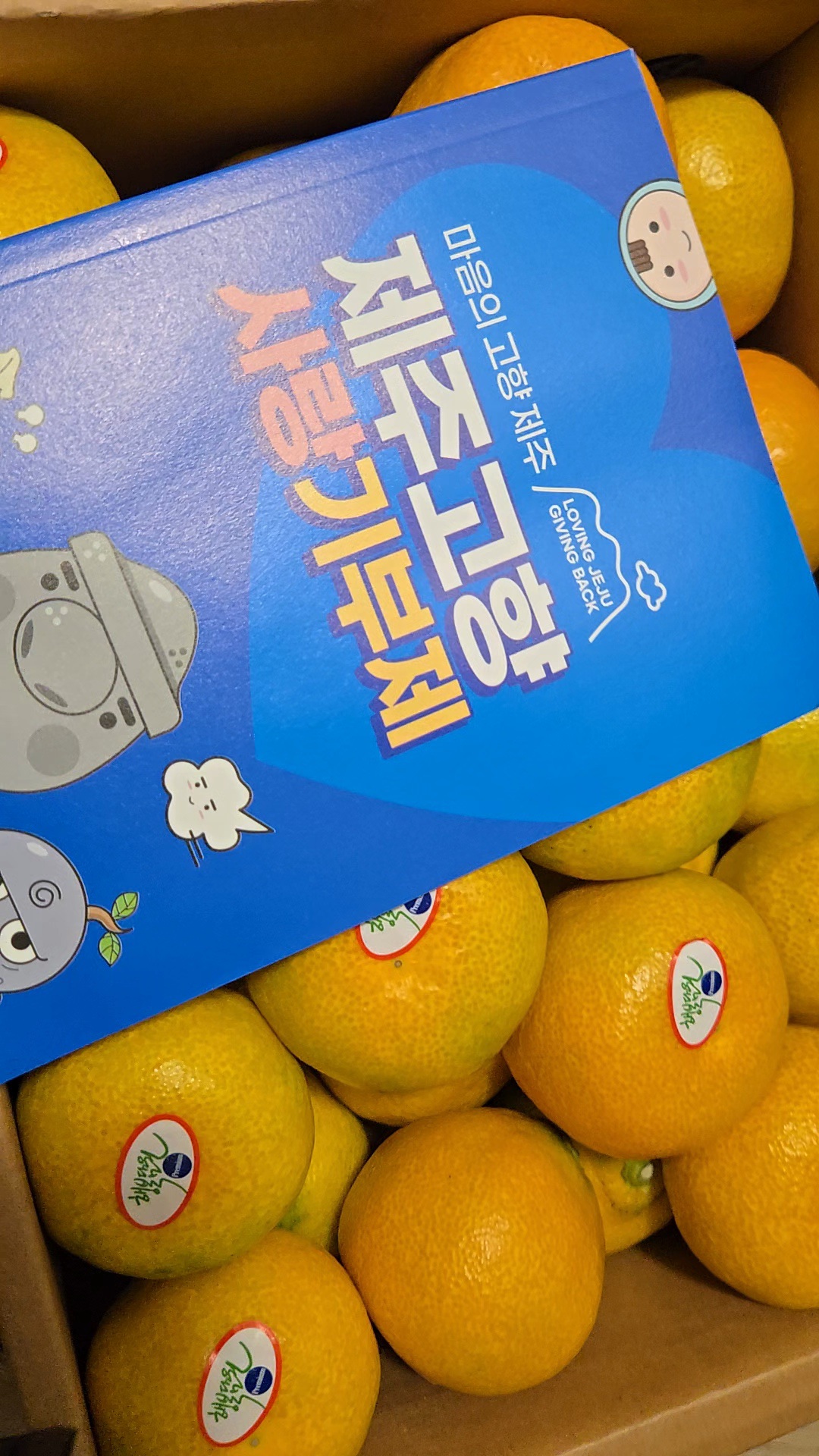 효돈 농협 프리미엄 감귤 (3kg/5kg)-2