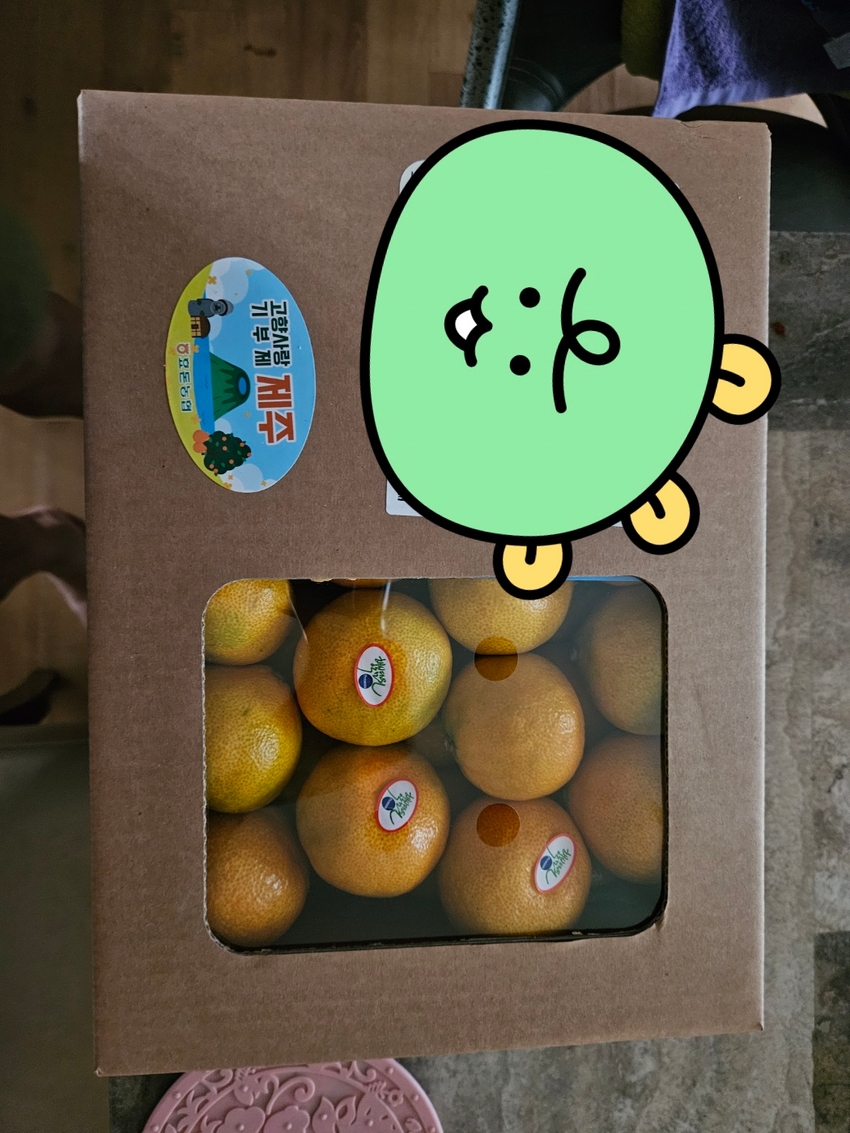 포토후기 이미지