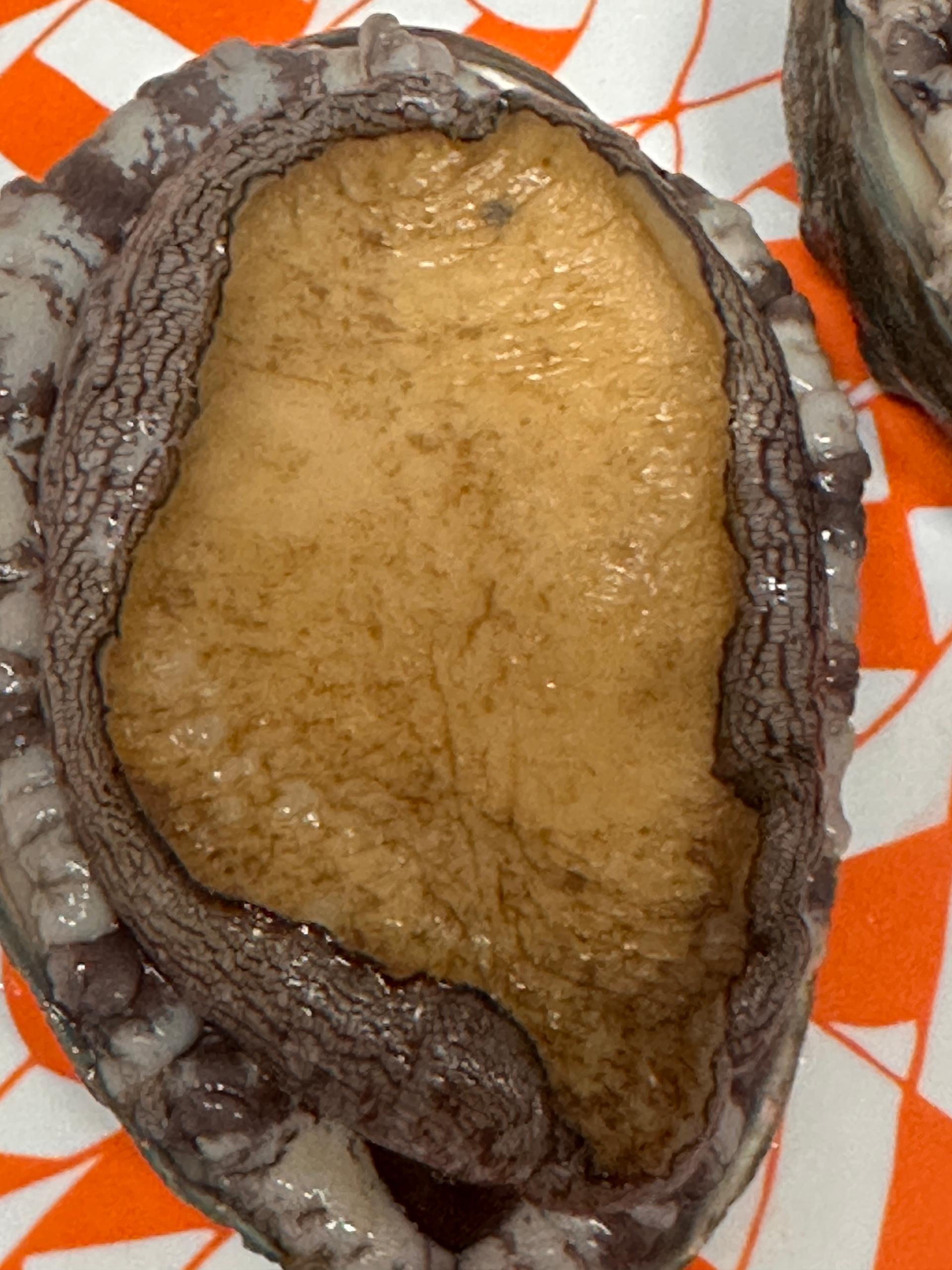 활전복 1kg (10~12미) + 1마리 추가