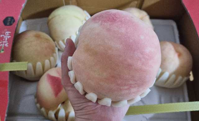 무주 반딧불 백도복숭아 3kg (한정 수량, 8/31까지)-2
