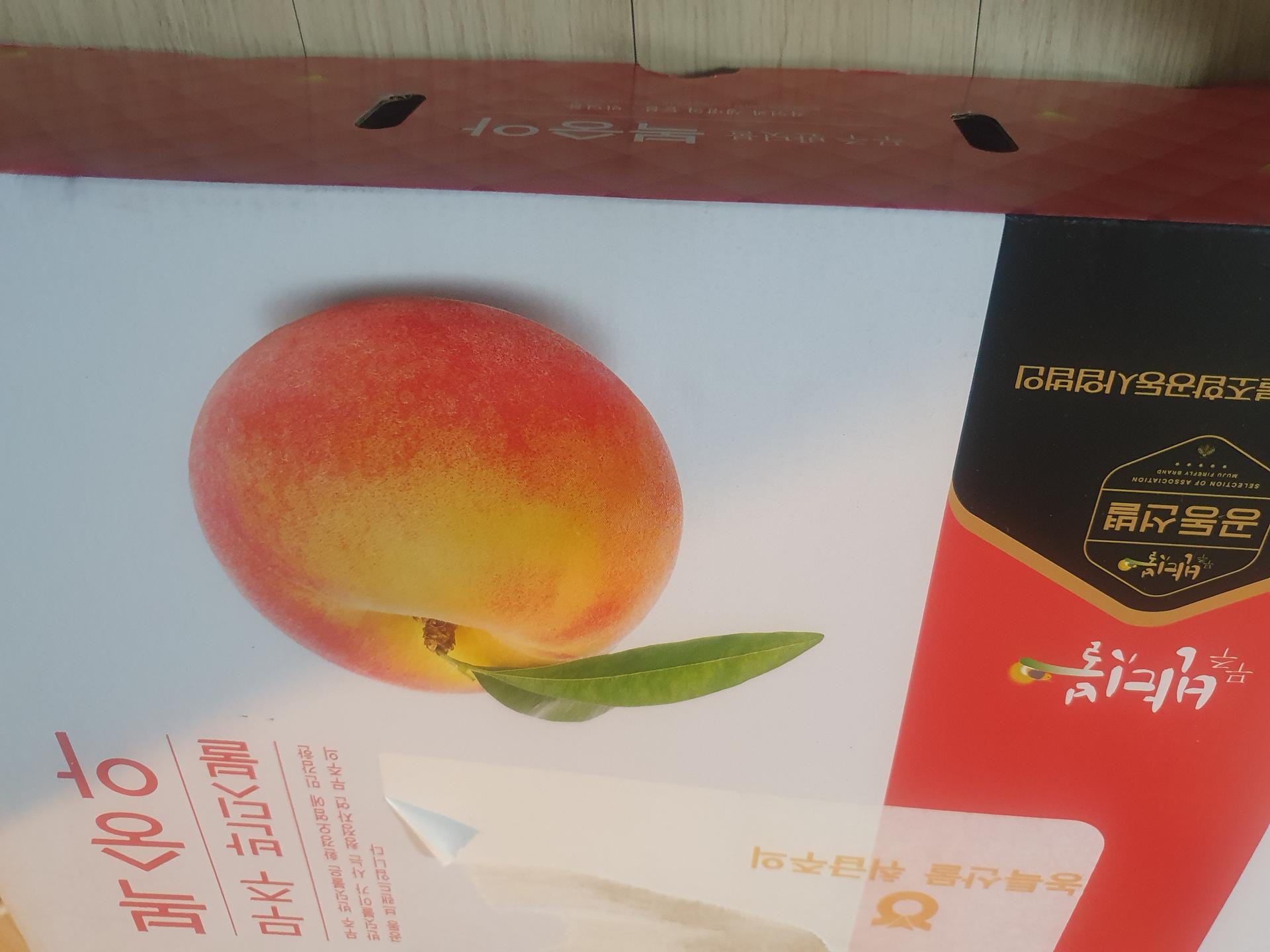 포토후기 이미지