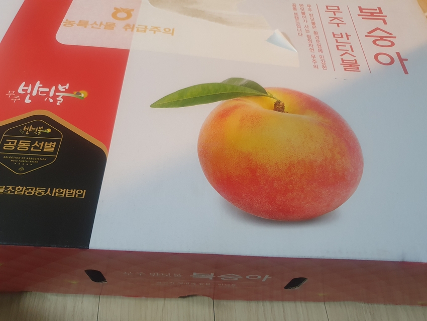 포토후기 이미지