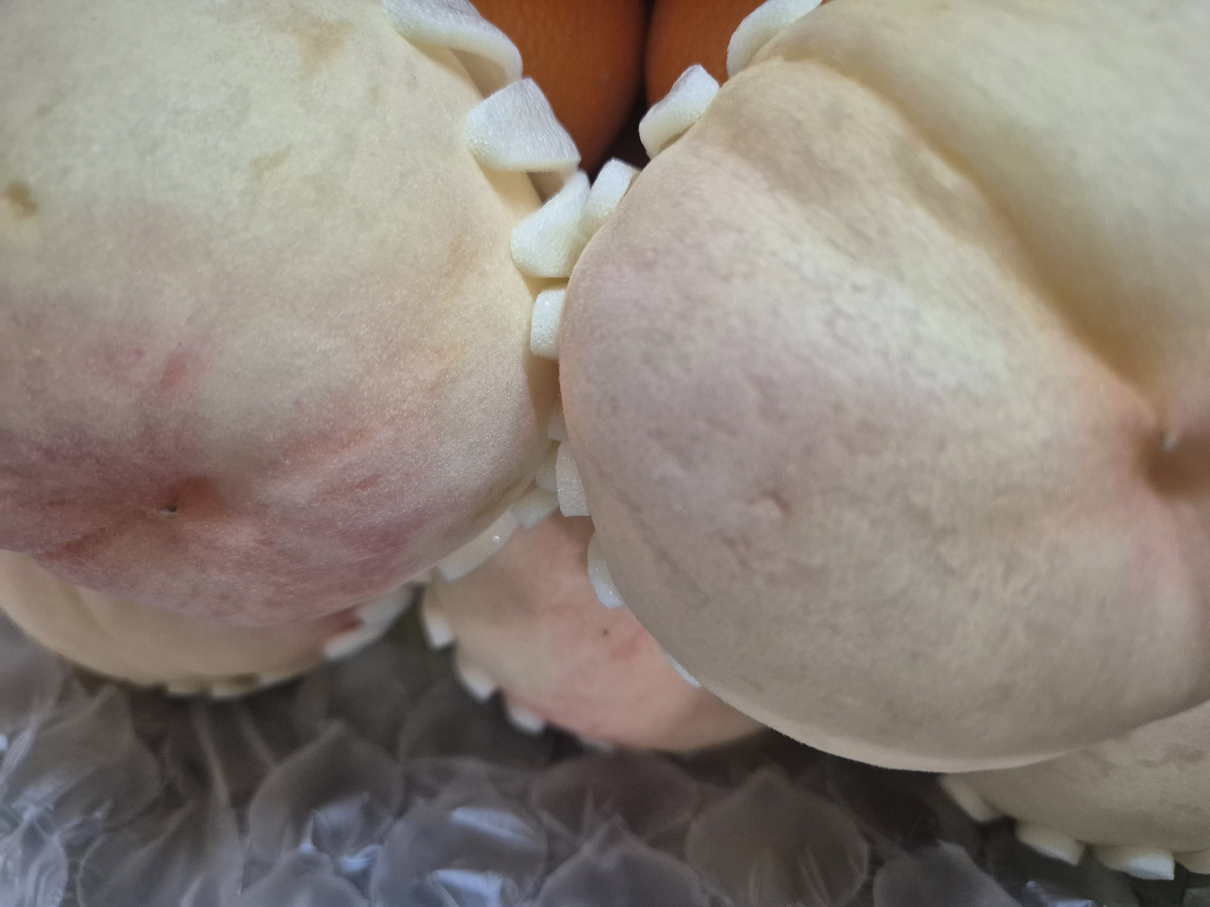 무주 반딧불 백도복숭아 3kg (한정 수량, 8/31까지)-1