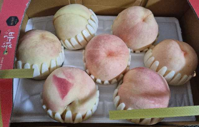 포토후기 이미지