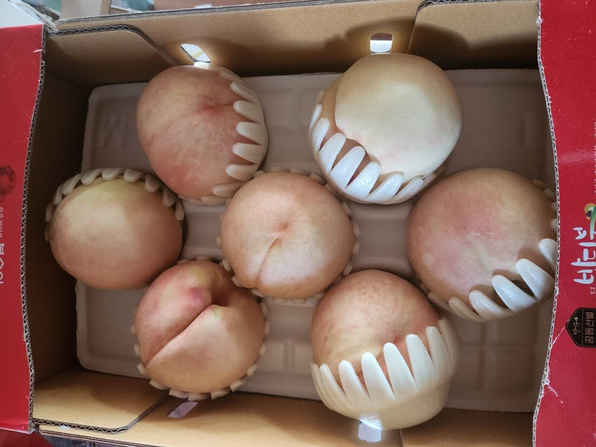 포토후기 이미지