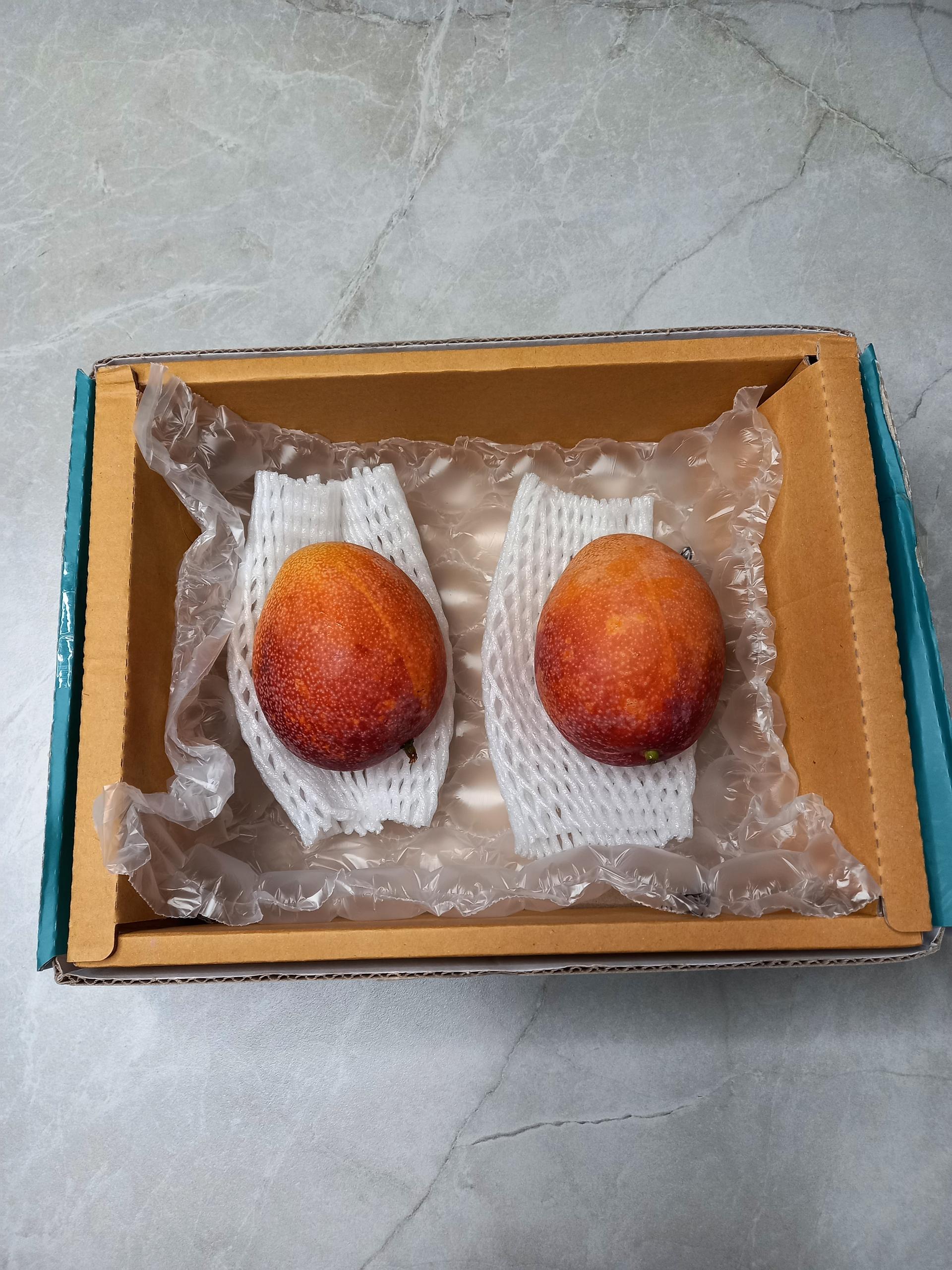 포토후기 이미지