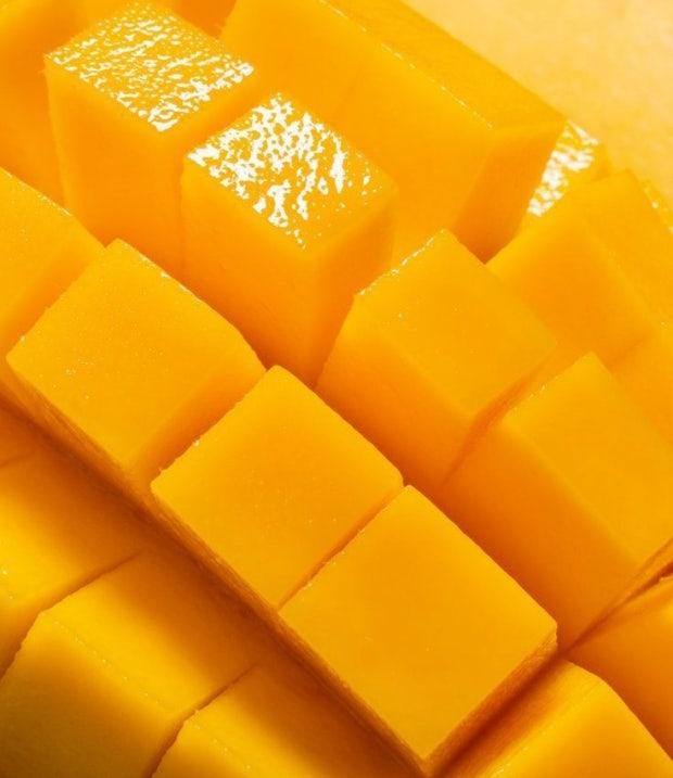 포토후기 이미지