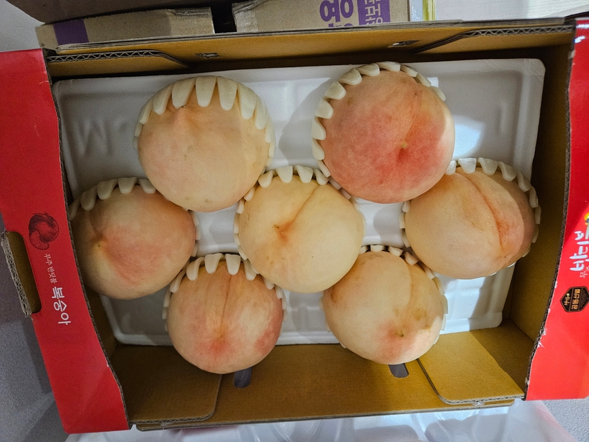 포토후기 이미지