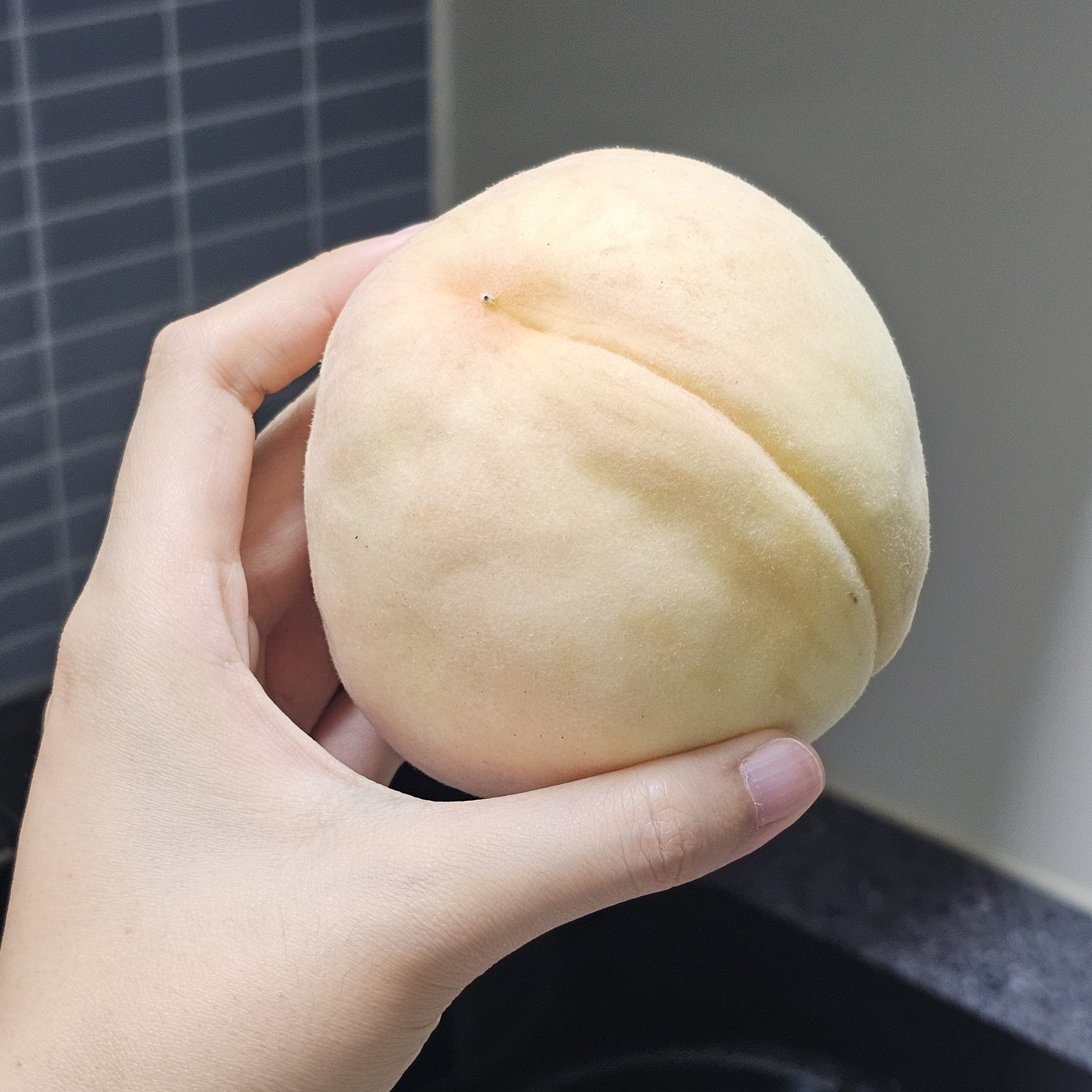 무주 반딧불 백도복숭아 3kg (한정 수량, 8/31까지)-3