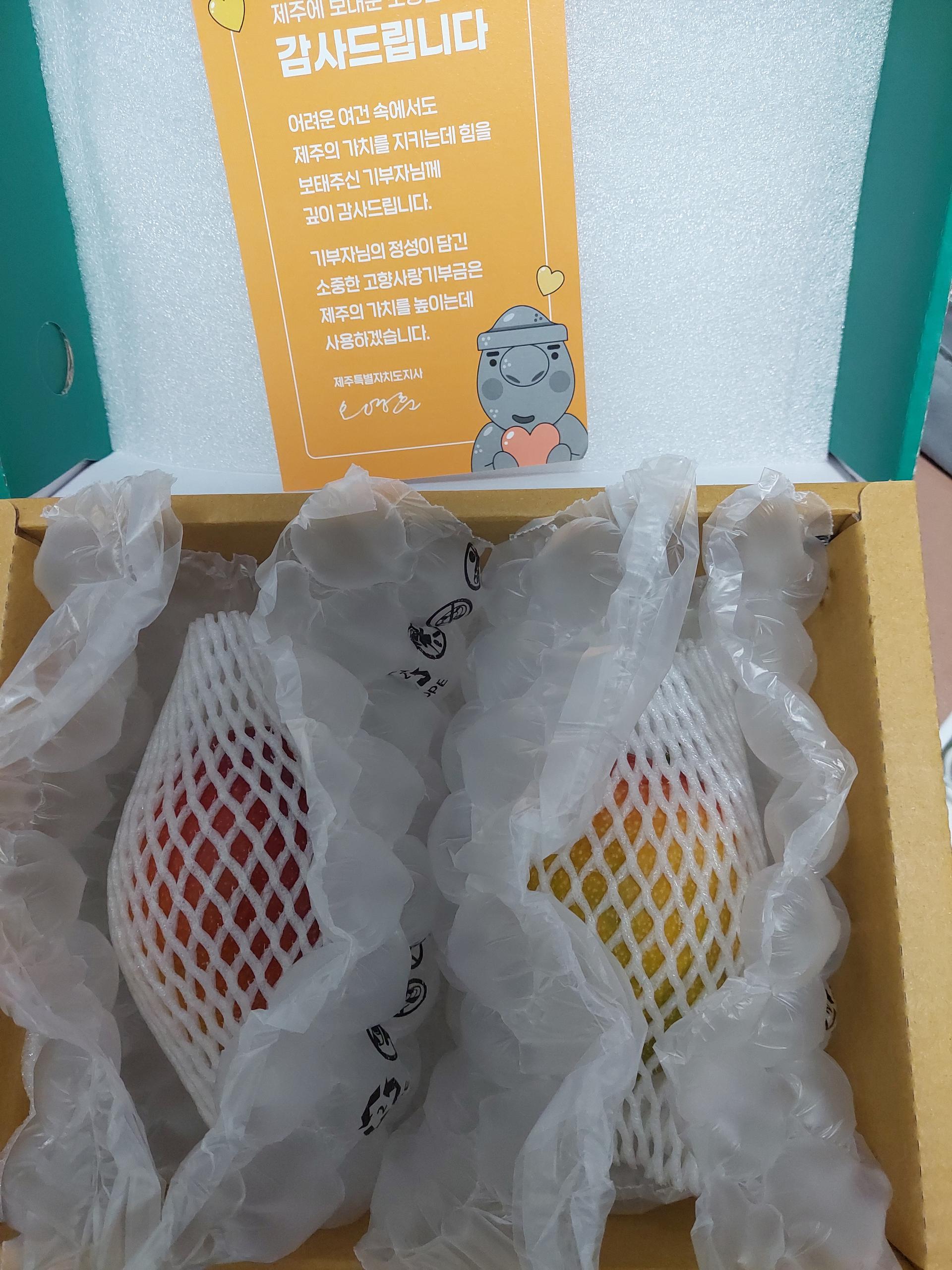 포토후기 이미지