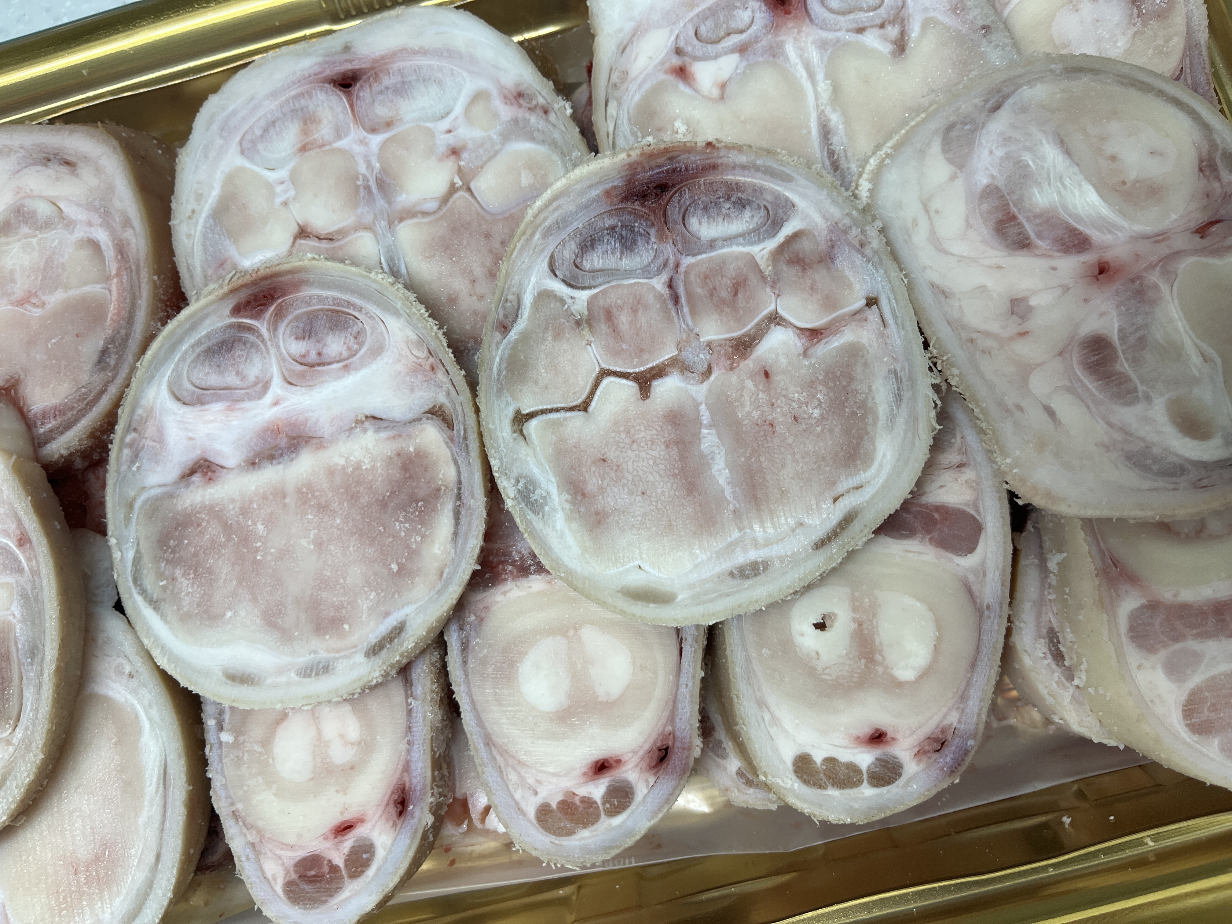 영암매력한우 1+이상 우족세트 (2.5Kg이상)-2