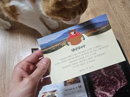 영암매력한우 1+이상 한우채끝 220g-2