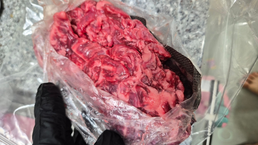 포토후기 이미지
