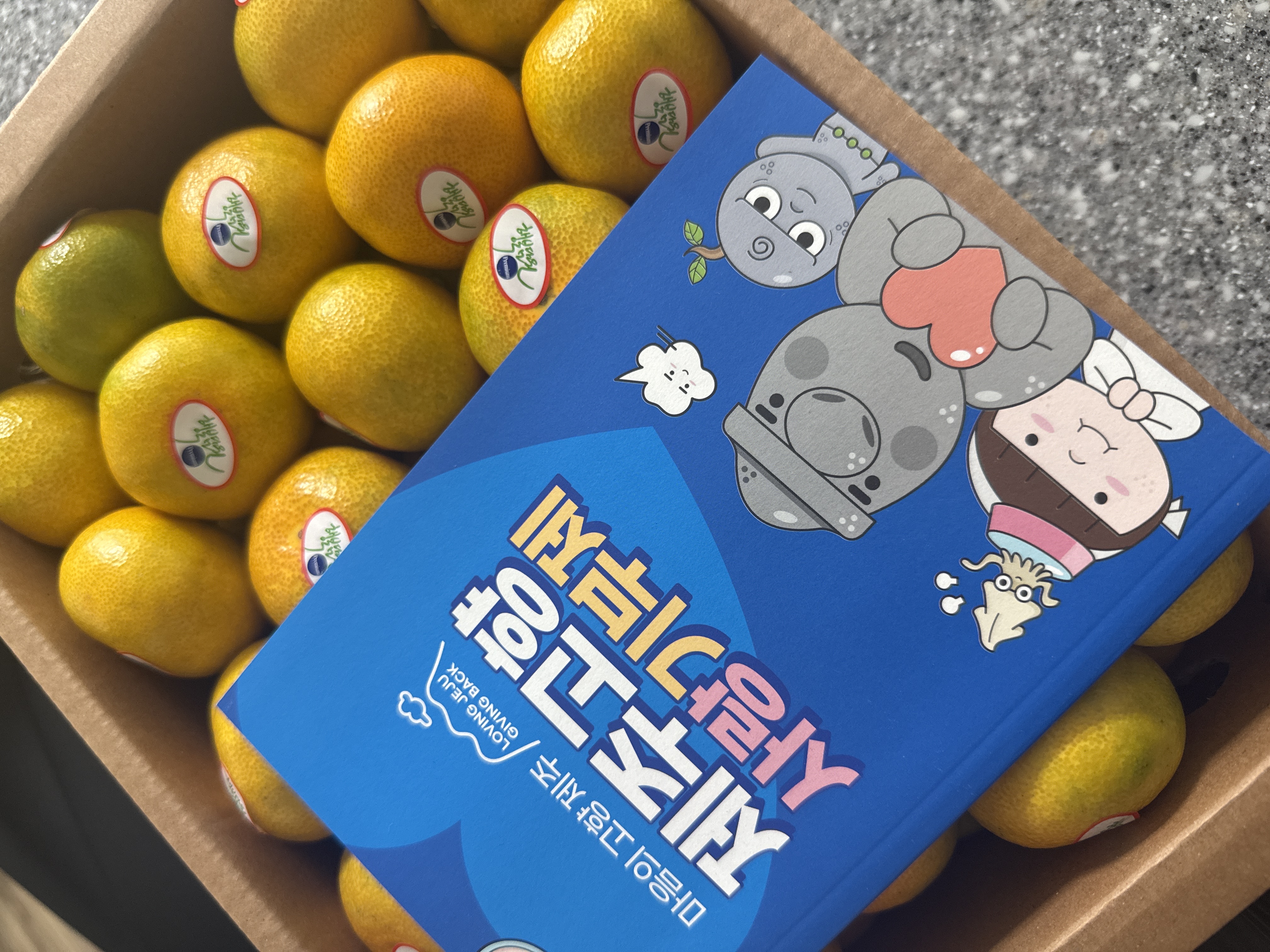 효돈 농협 프리미엄 감귤 (3kg/5kg)-1
