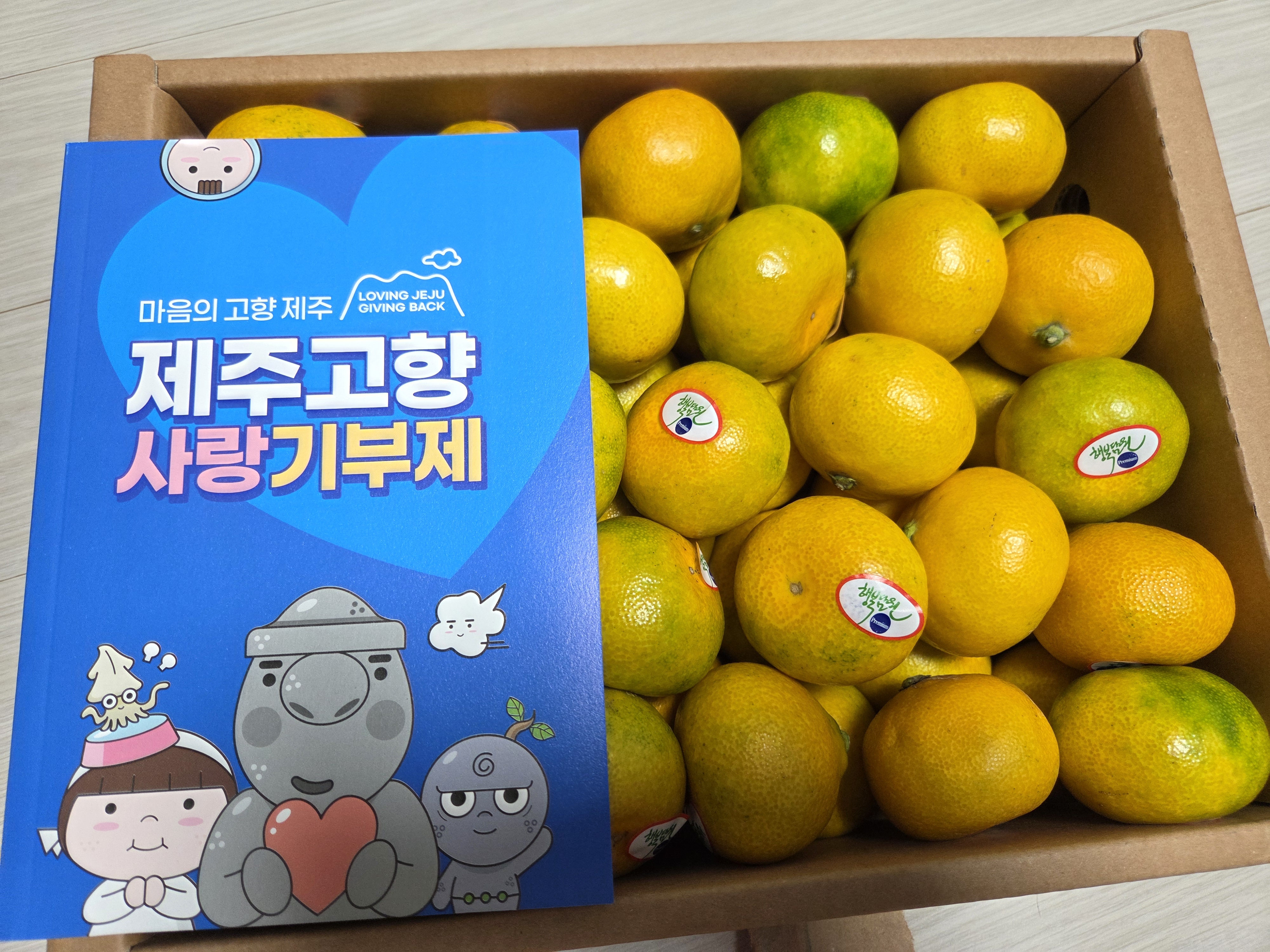 효돈 농협 프리미엄 감귤 (3kg/5kg)-1