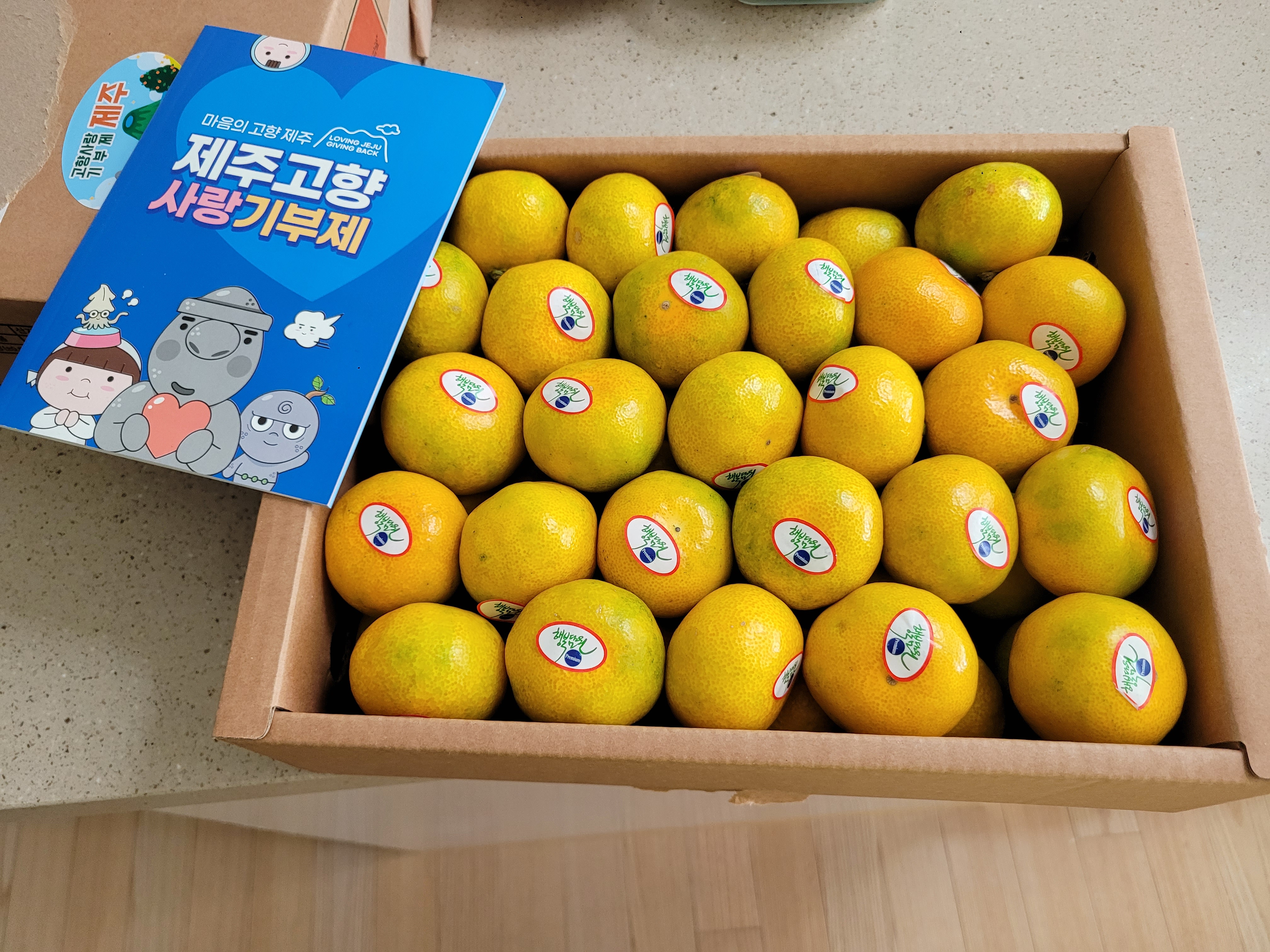 효돈 농협 프리미엄 감귤 (3kg/5kg)-1