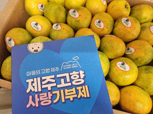 효돈 농협 프리미엄 감귤 (3kg/5kg)-1